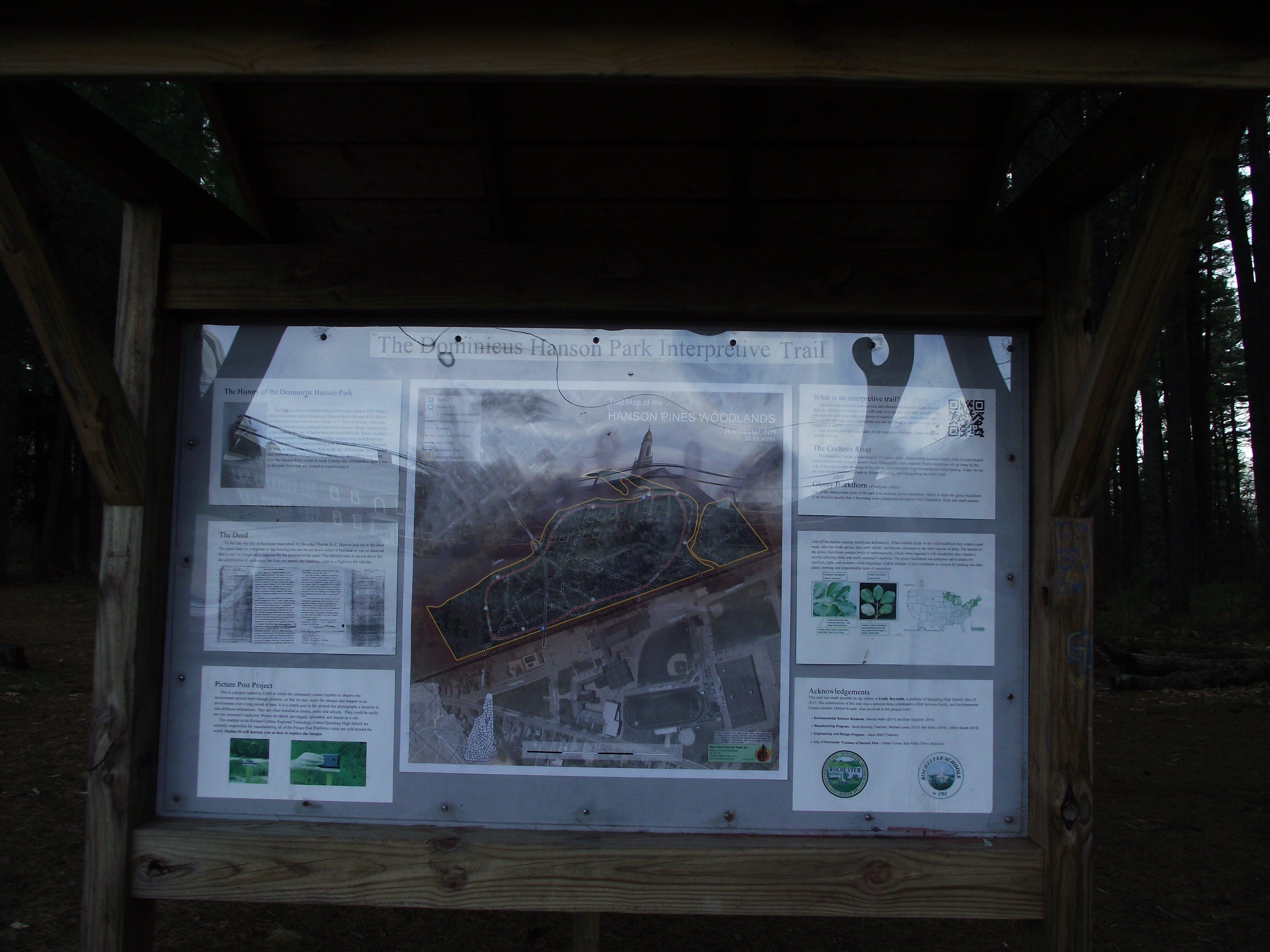 Dominicus Hanson Pines