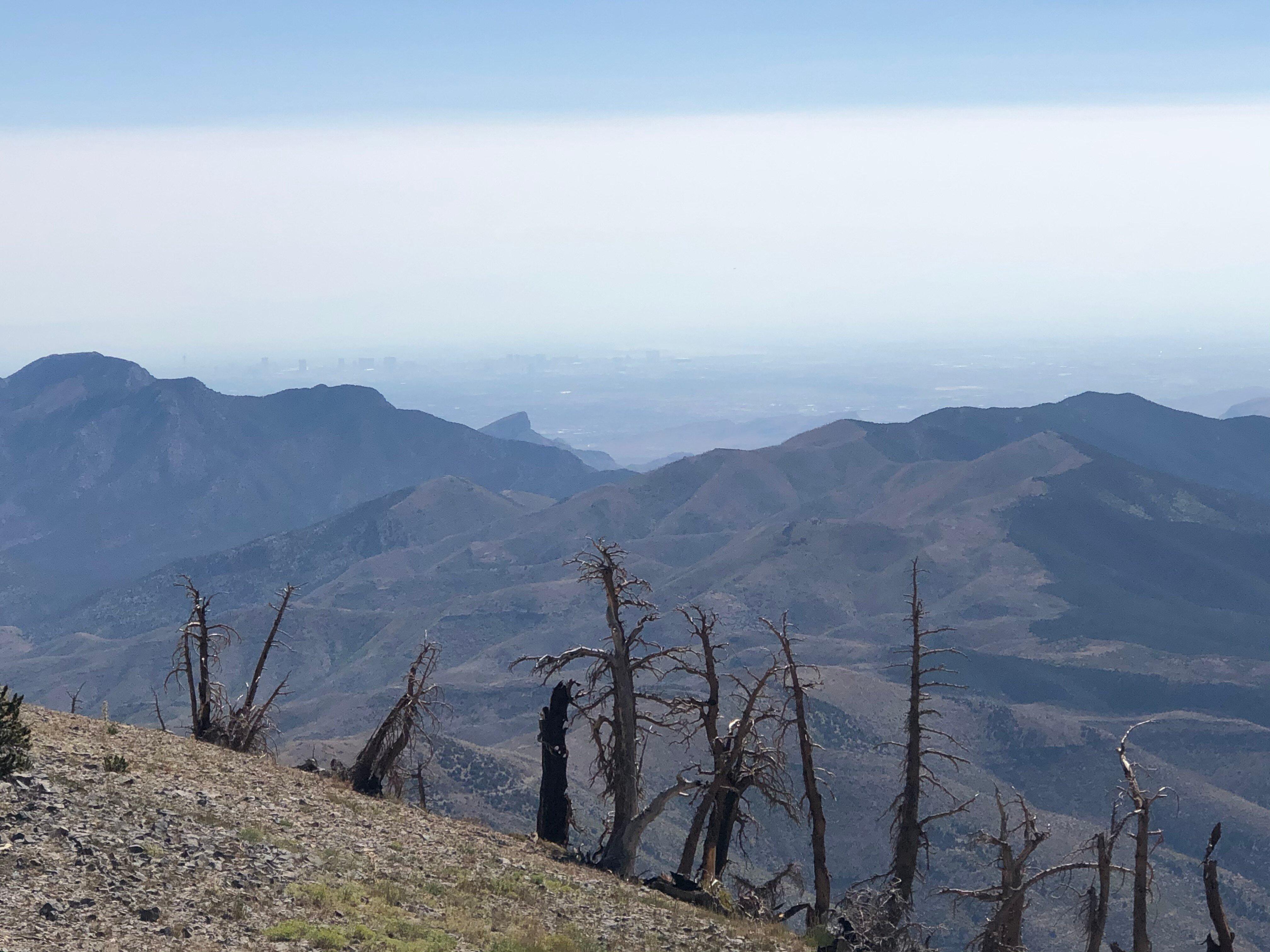 Griffith Peak Trail