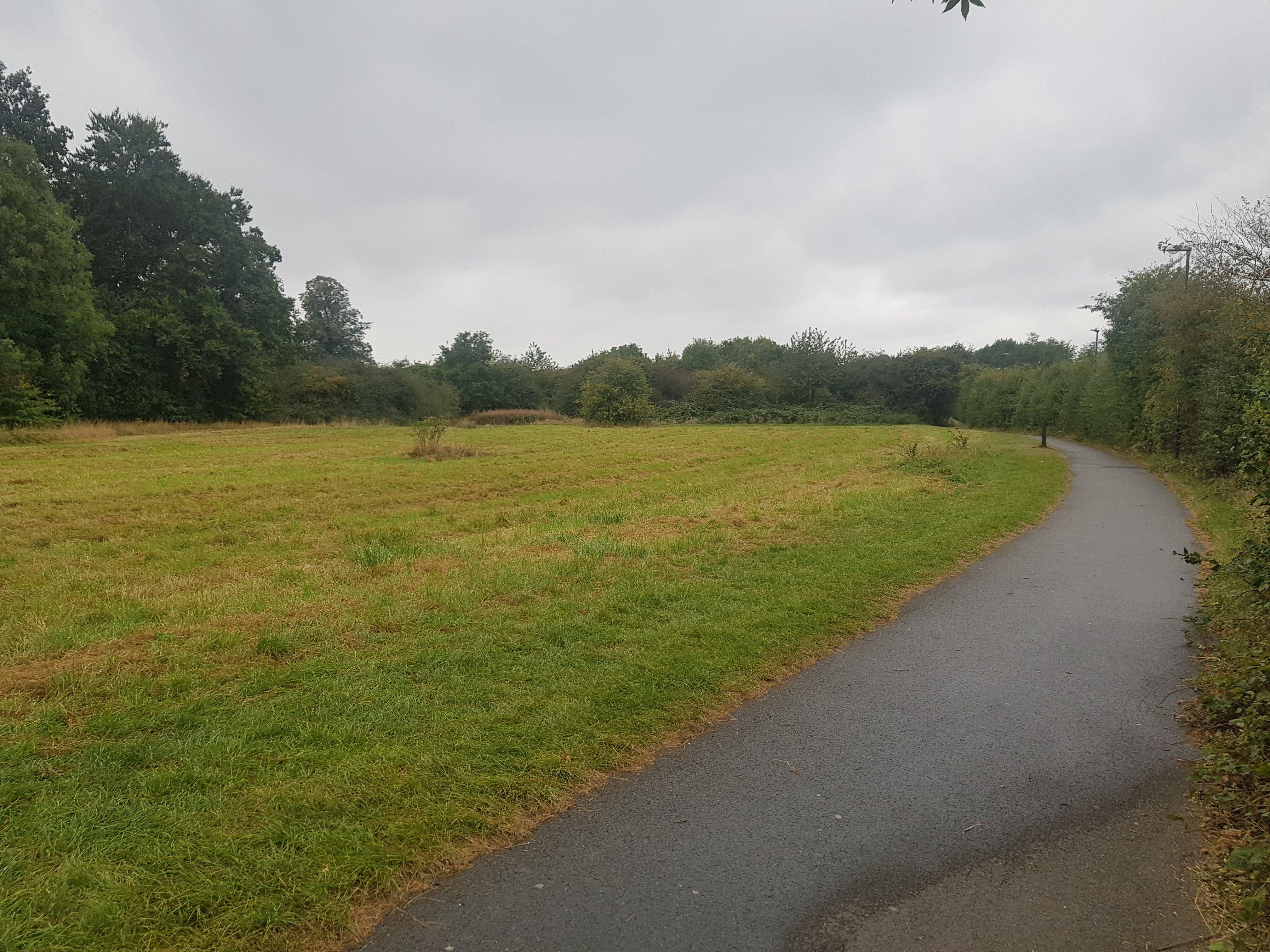 West Park Meadow Nature Reserve