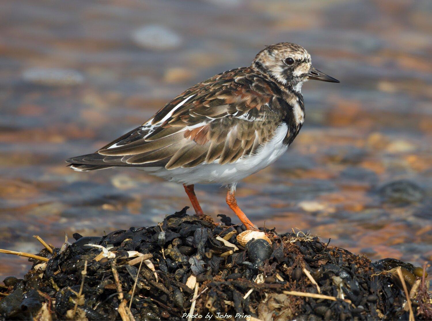 Photo by D8477GXjohnp