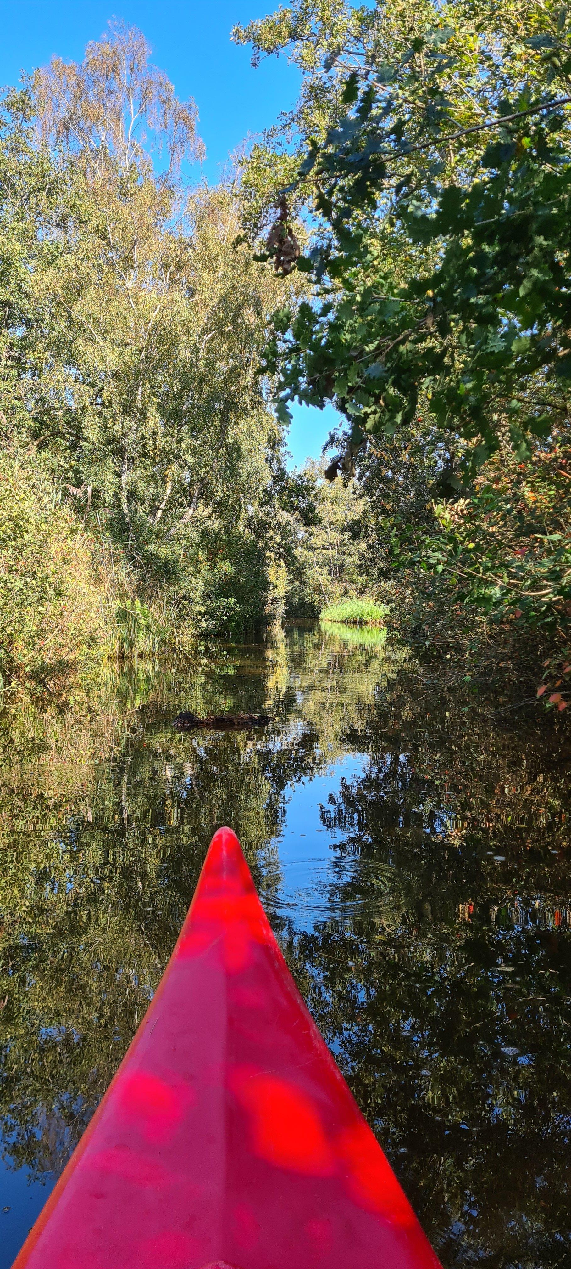 Photo by DancingStephanie