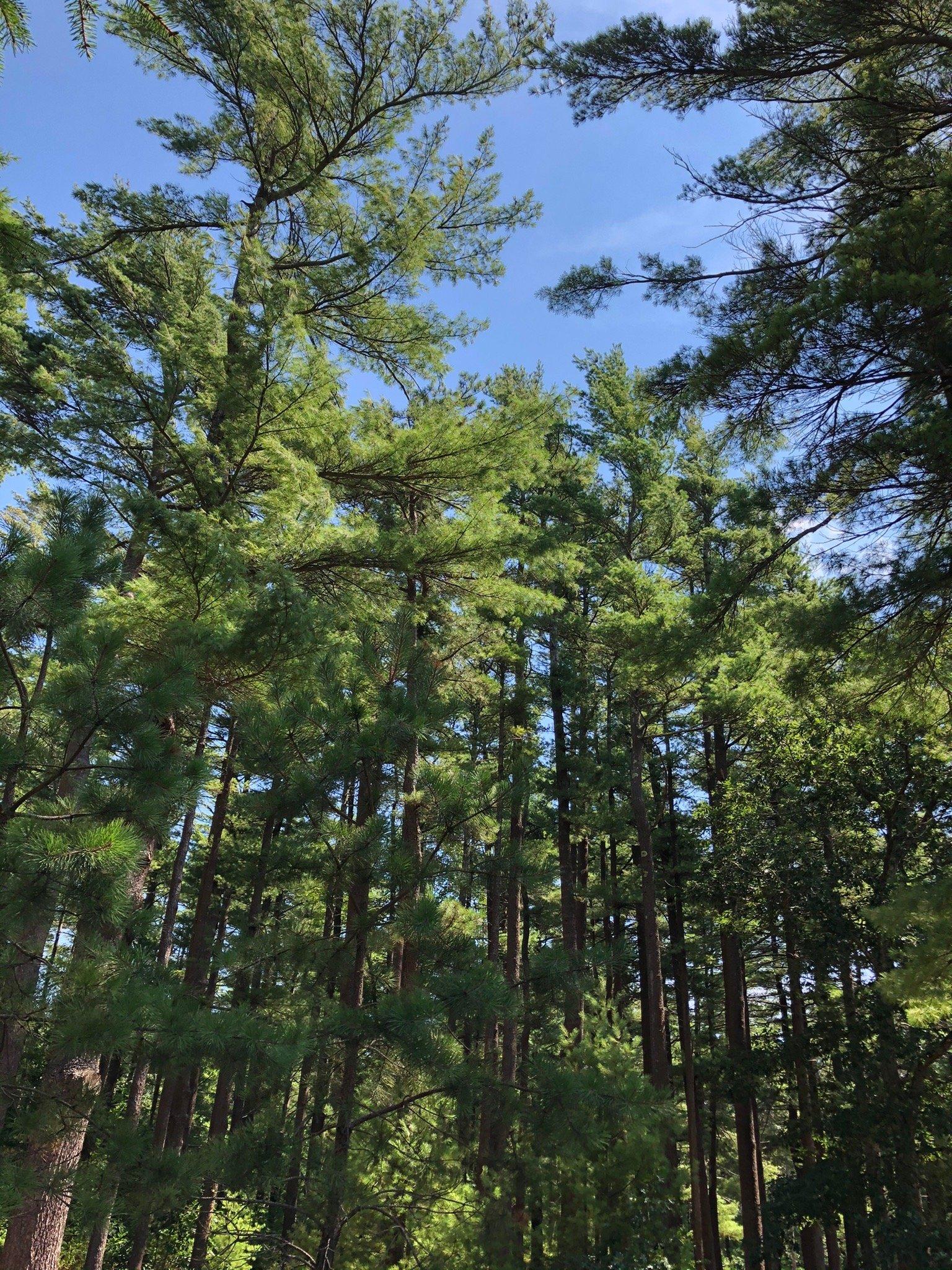 Photo by TessaAndHerThoughts