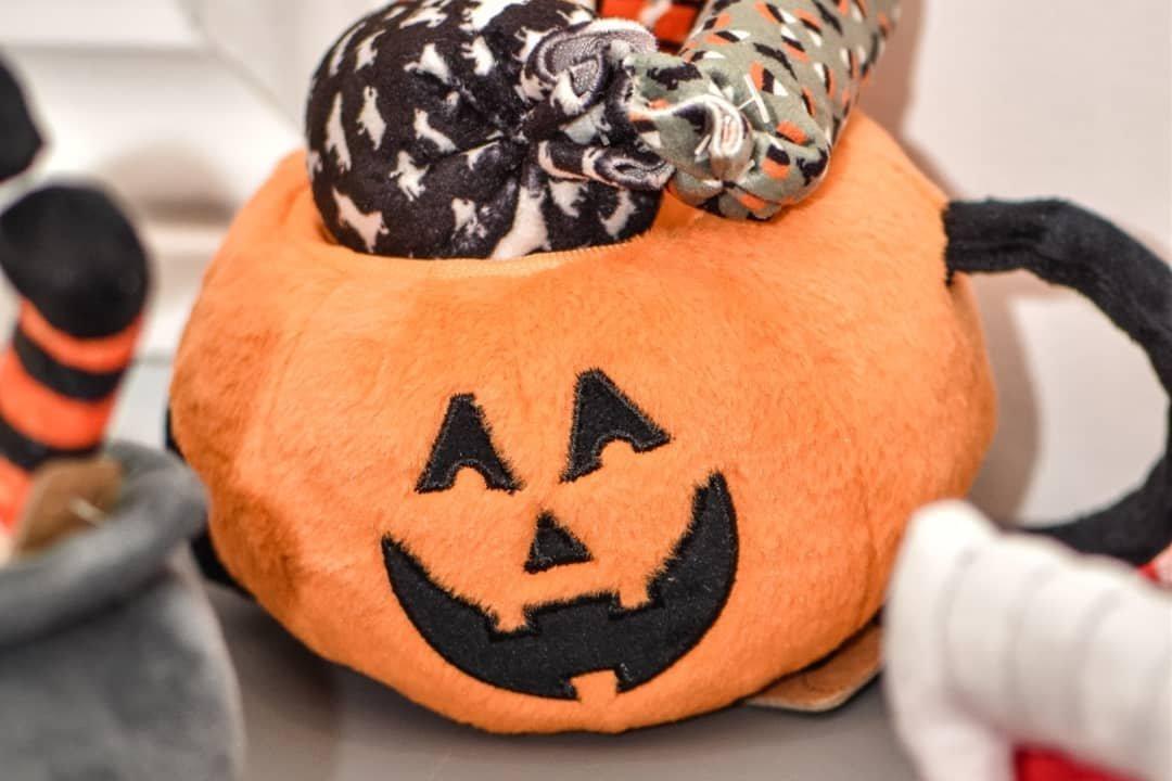 Photo by VisitMaleny1891