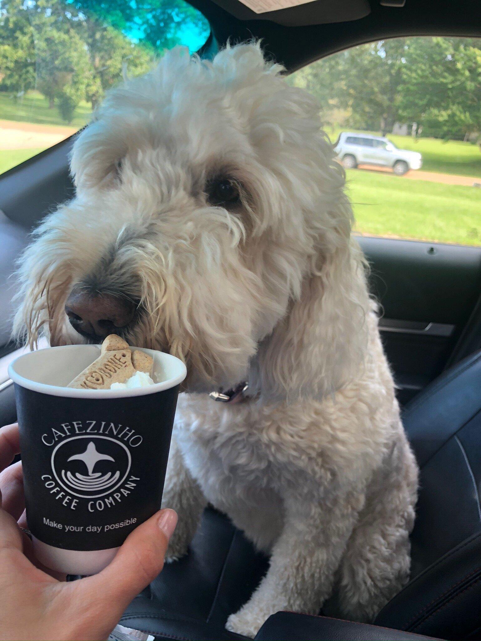 Photo by 999caitlinp