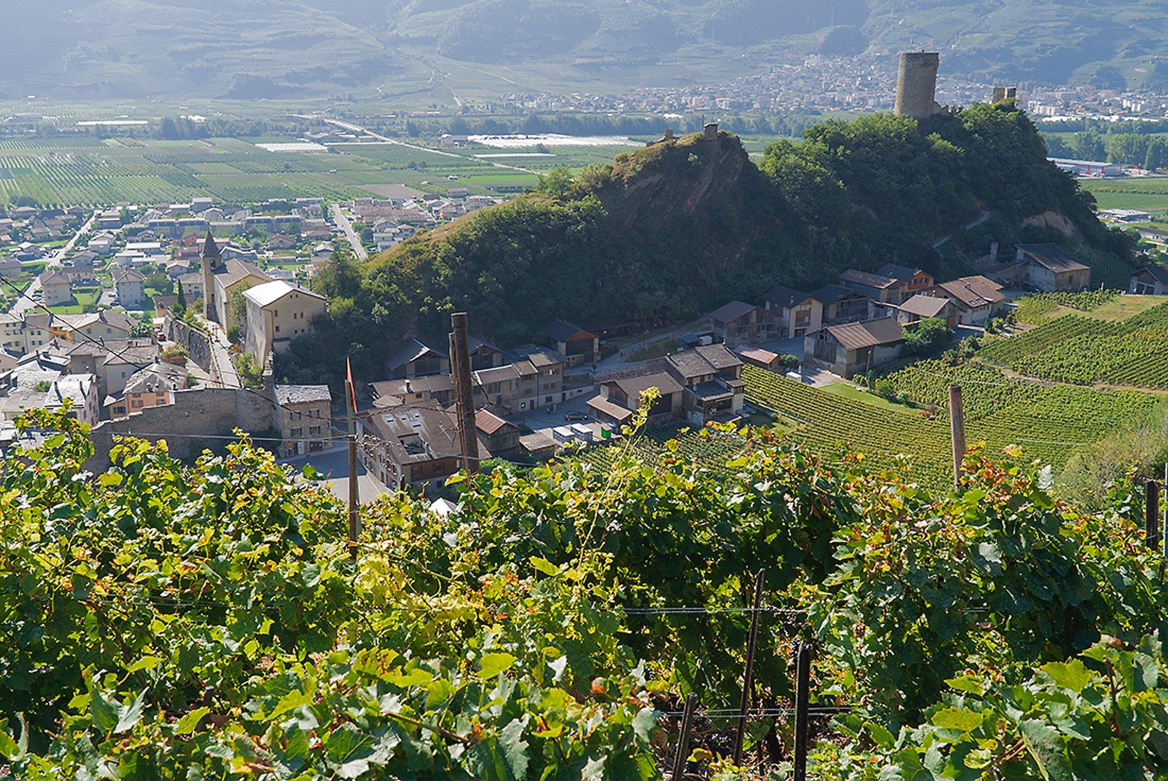 Office Du Tourisme De Saillon
