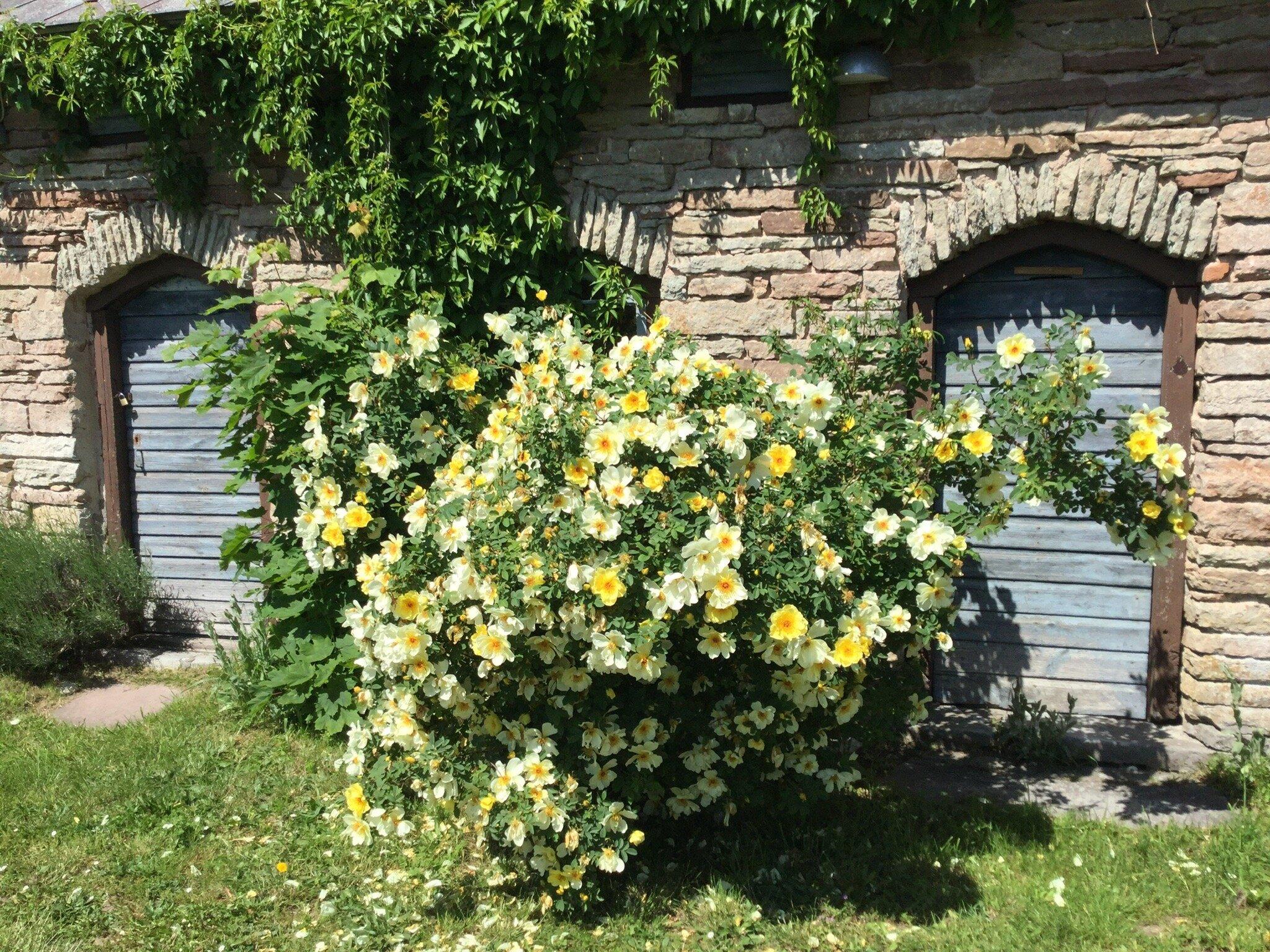 Sodviks Gastgivaregard