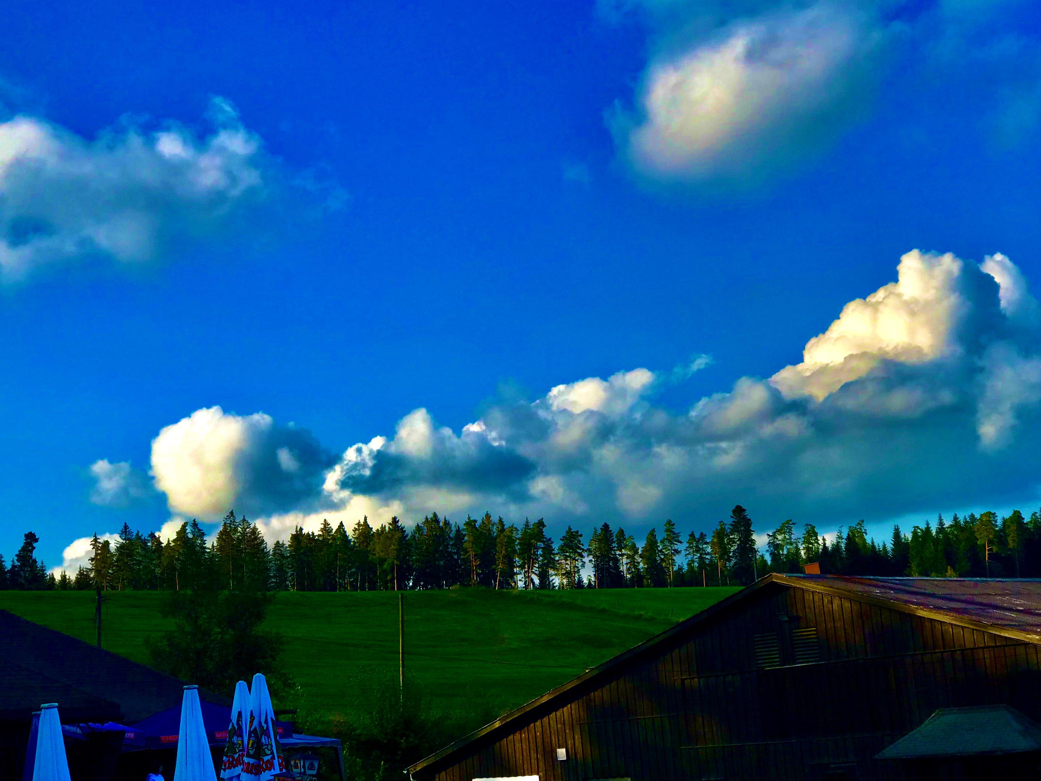 Ackerloch Grillschopf