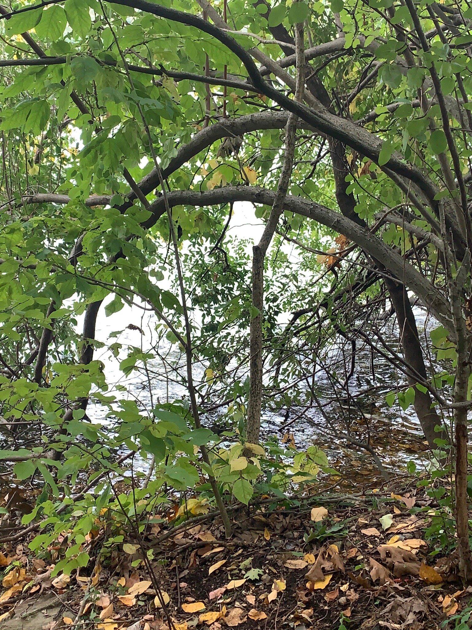 George C. Waldo State Park