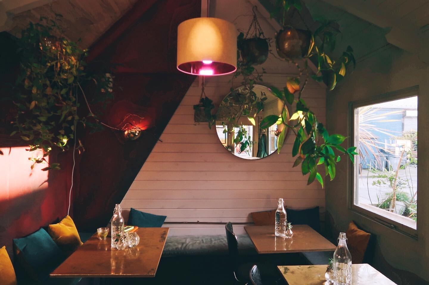 Oi Spaghetti + Tiramisu