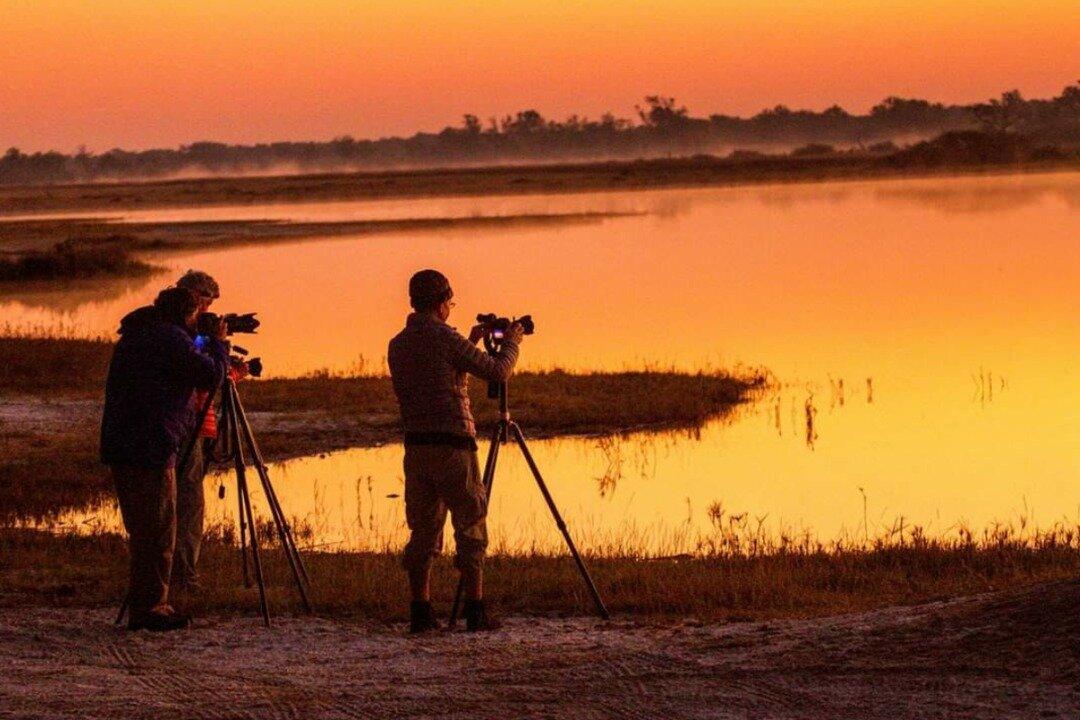 BushLife Africa Safaris (BLAS)