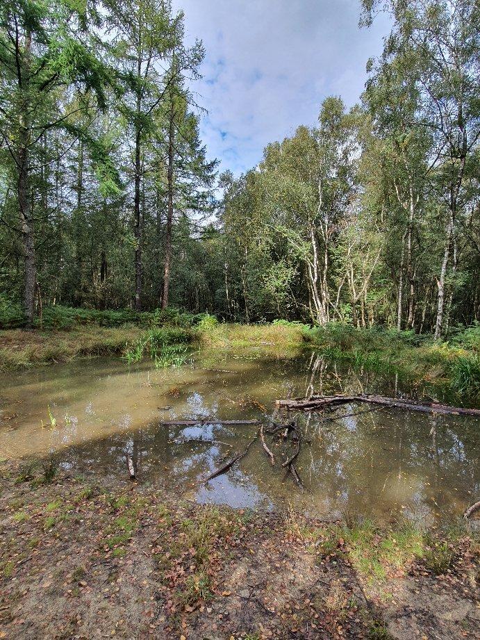 Rspb Broadwater Warren Nature Reserve
