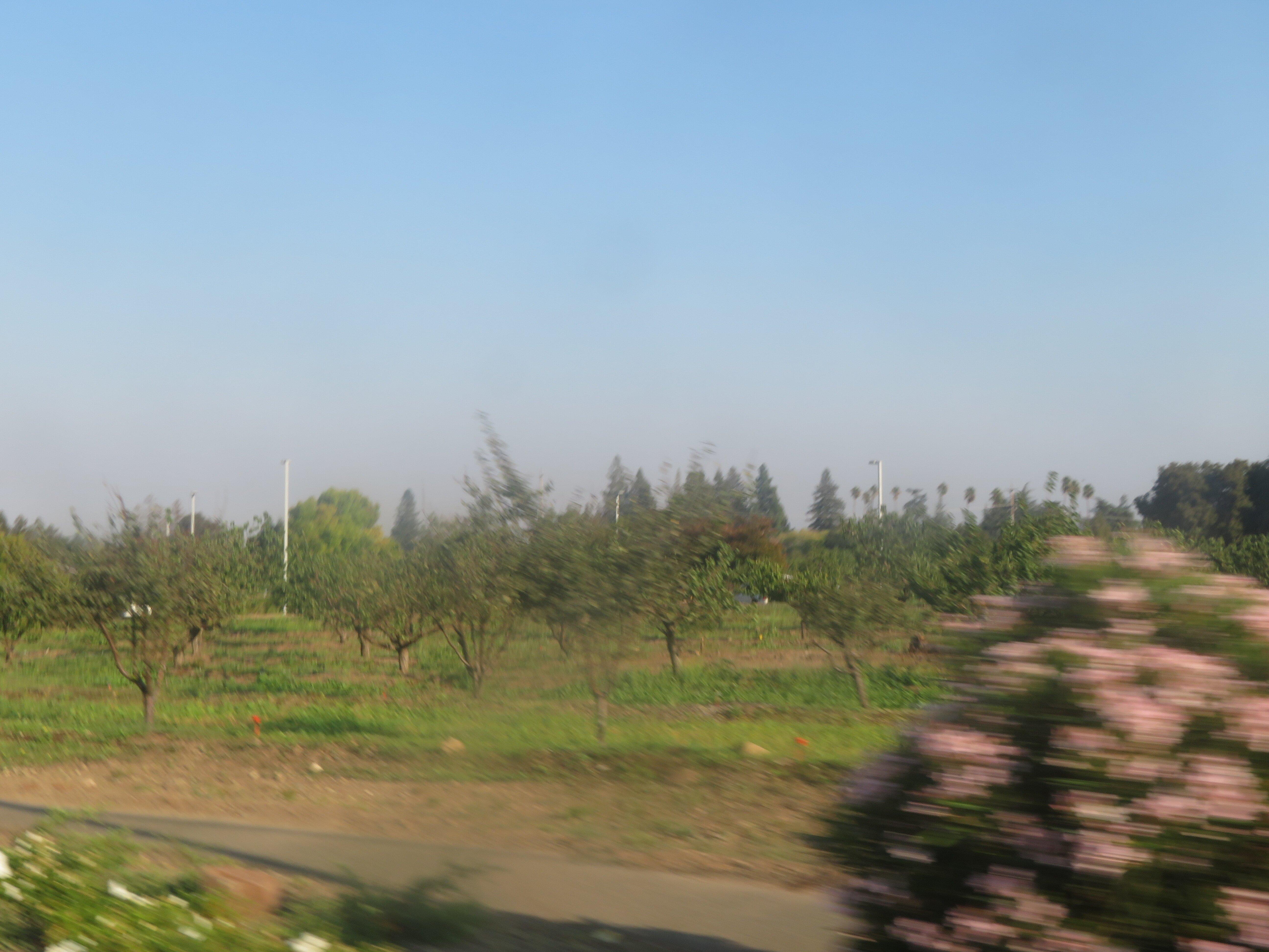 Heritage Orchard Park