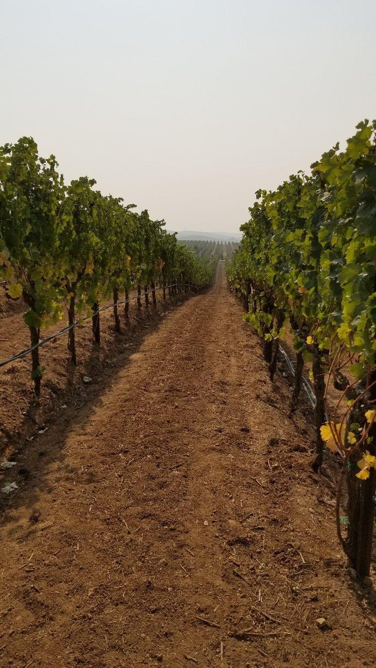 Hudson Ranch & Vineyards