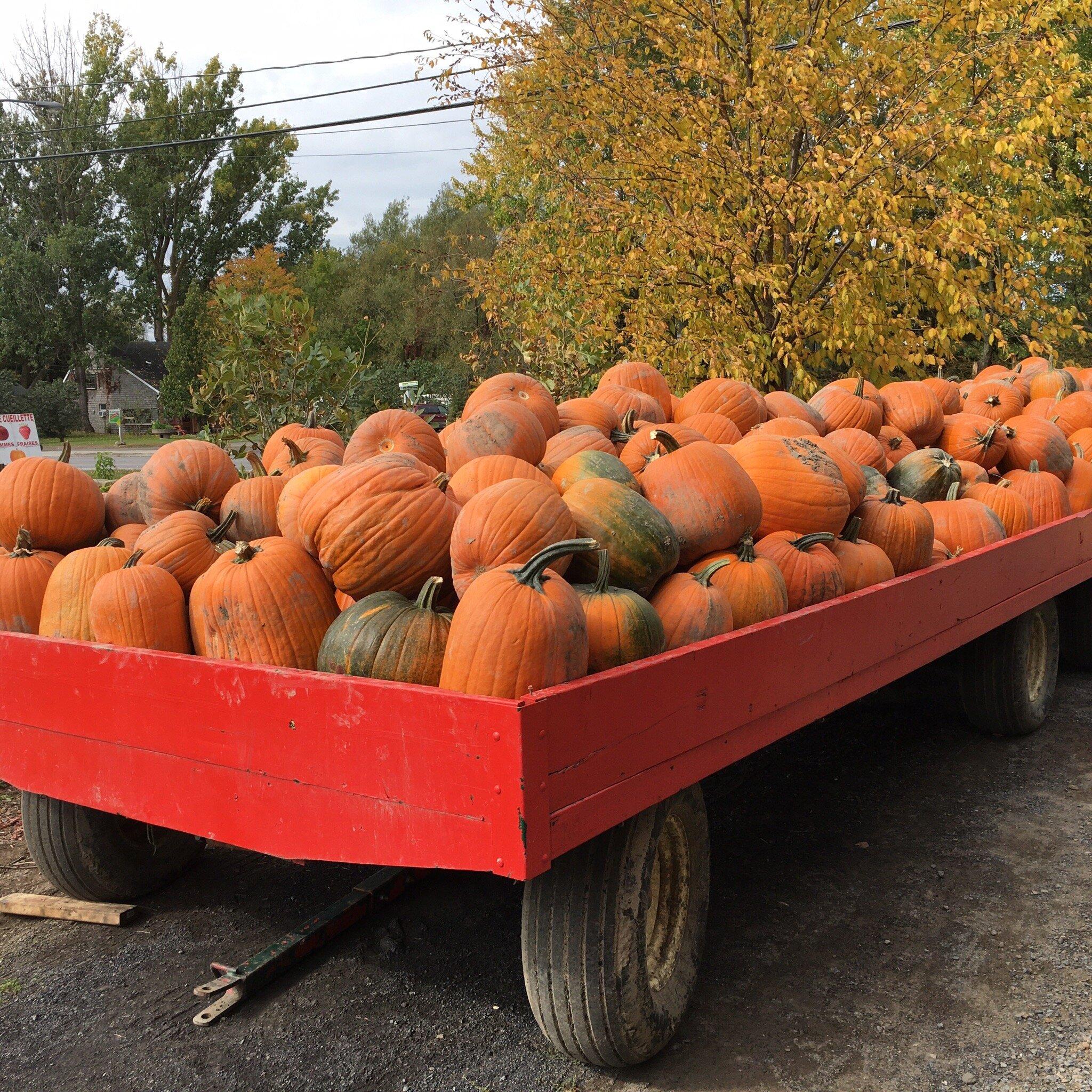 Vergers Pierre Tremblay & fils Inc.
