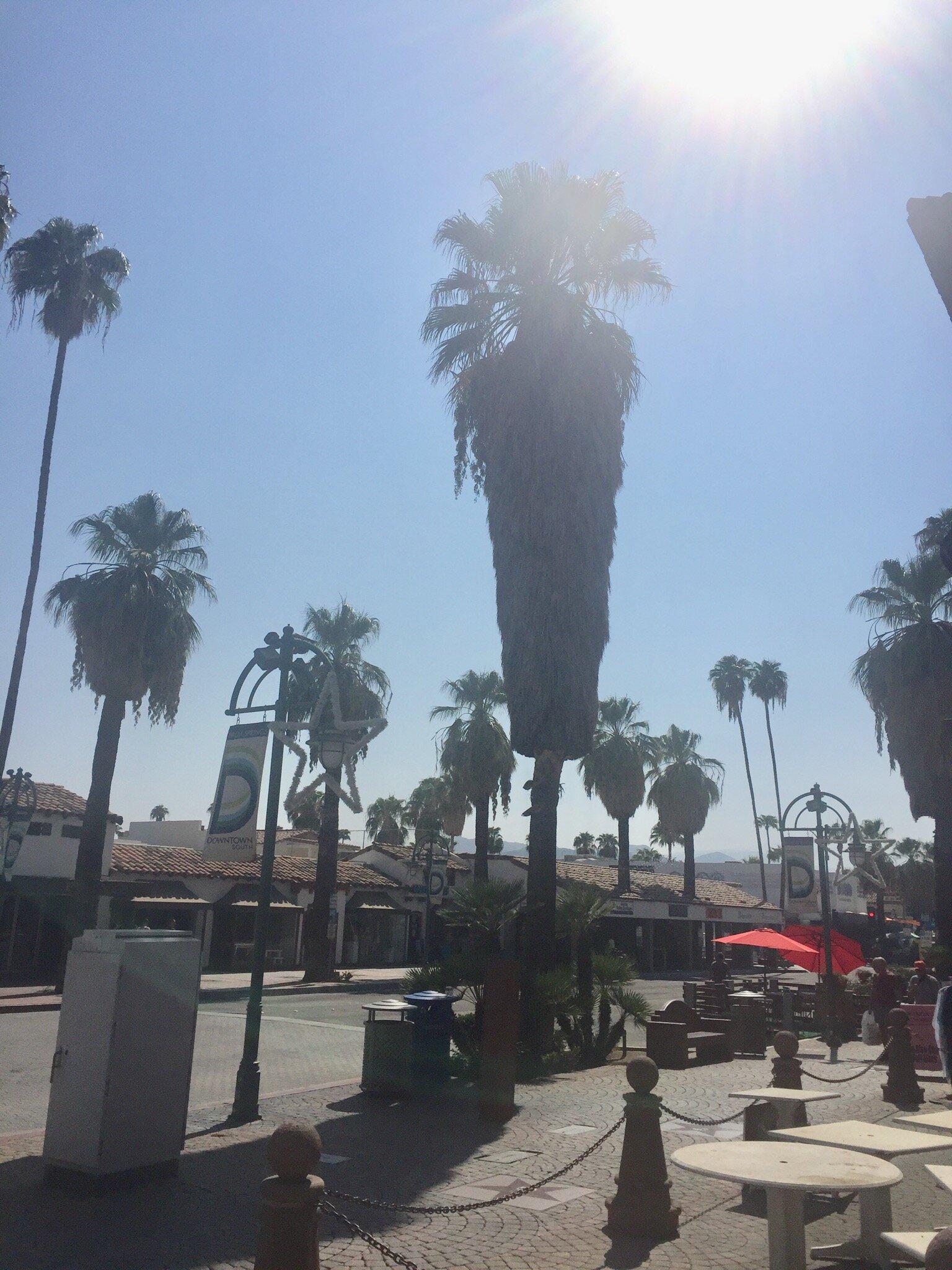 Photo by Y6861EKdavidr