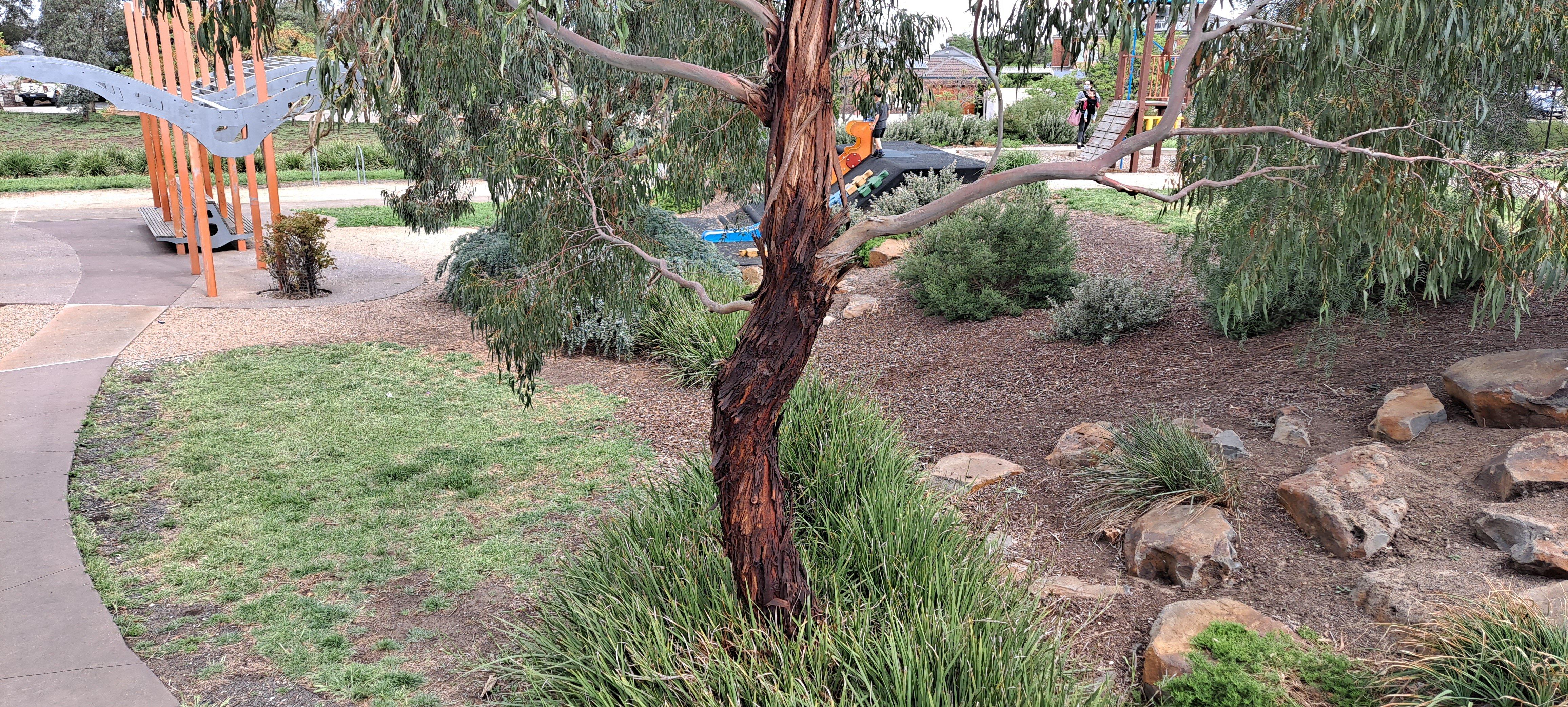 Lucas Terrace Reserve