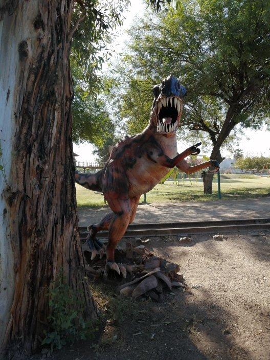 Bosque de la Ciudad de Mexicali