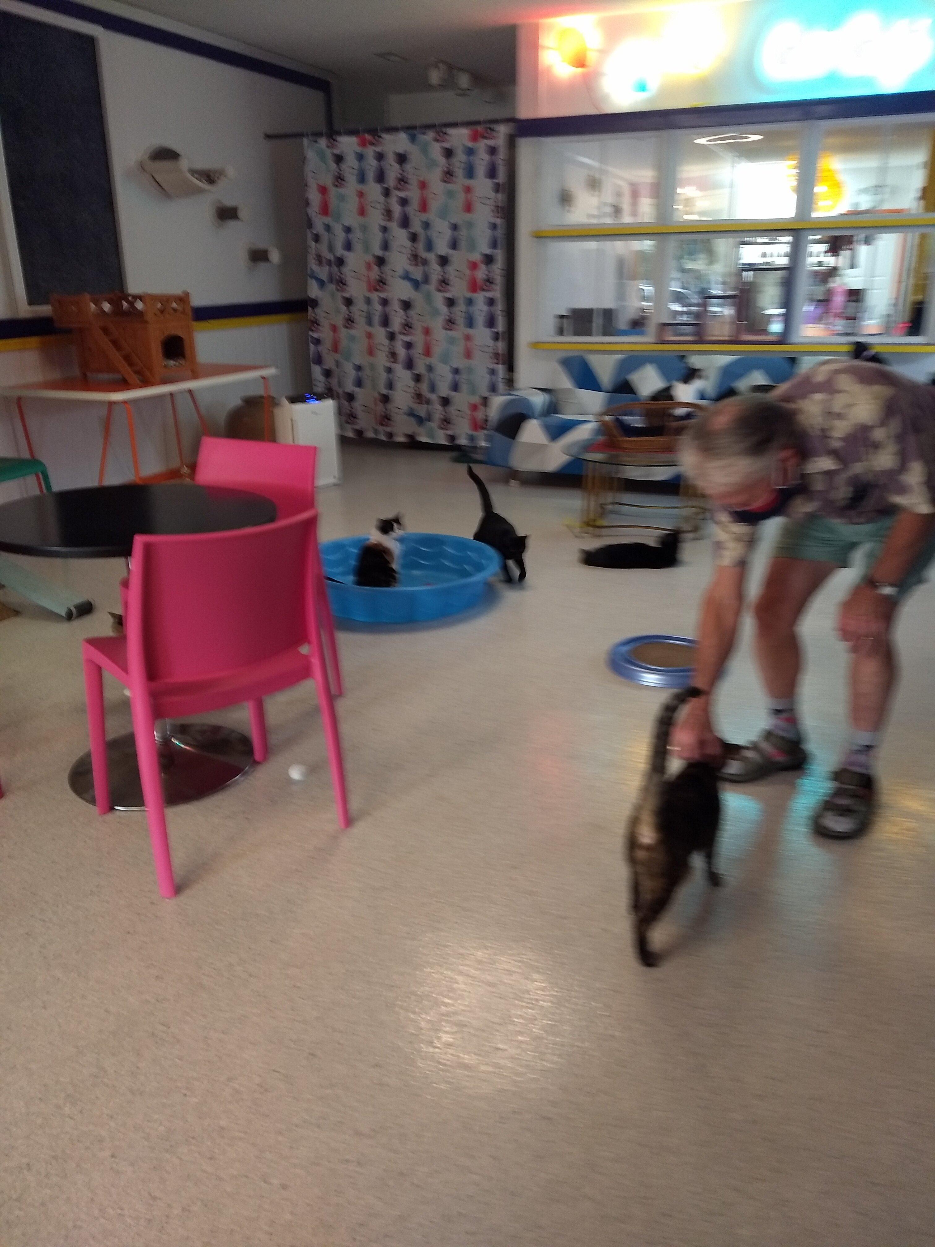 Photo by Perfectcactus