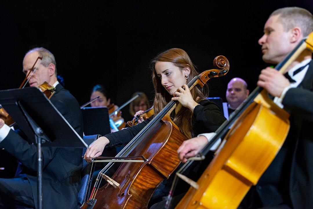 Photo by Wanderer13754574989