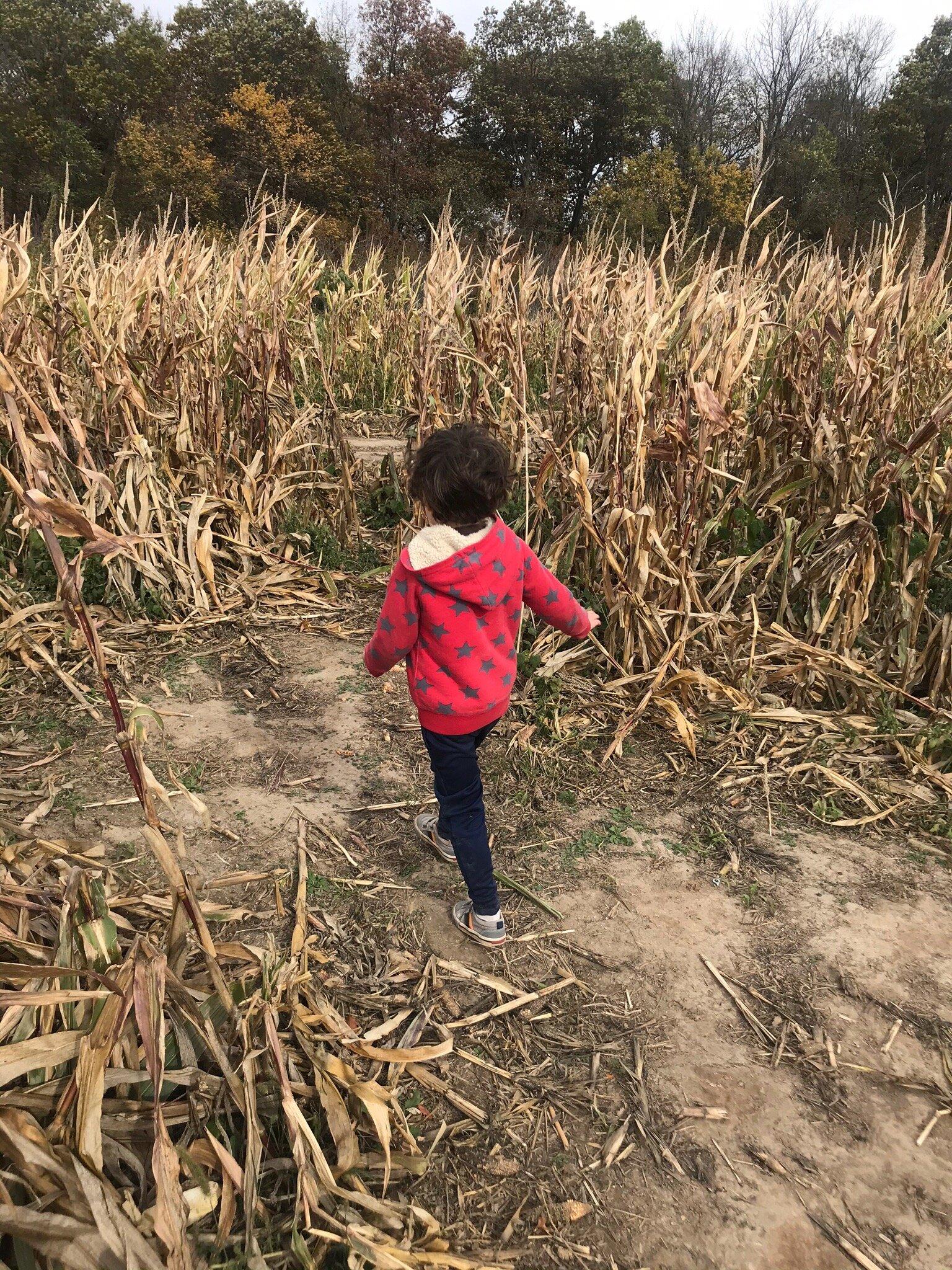 Wills Family Orchard