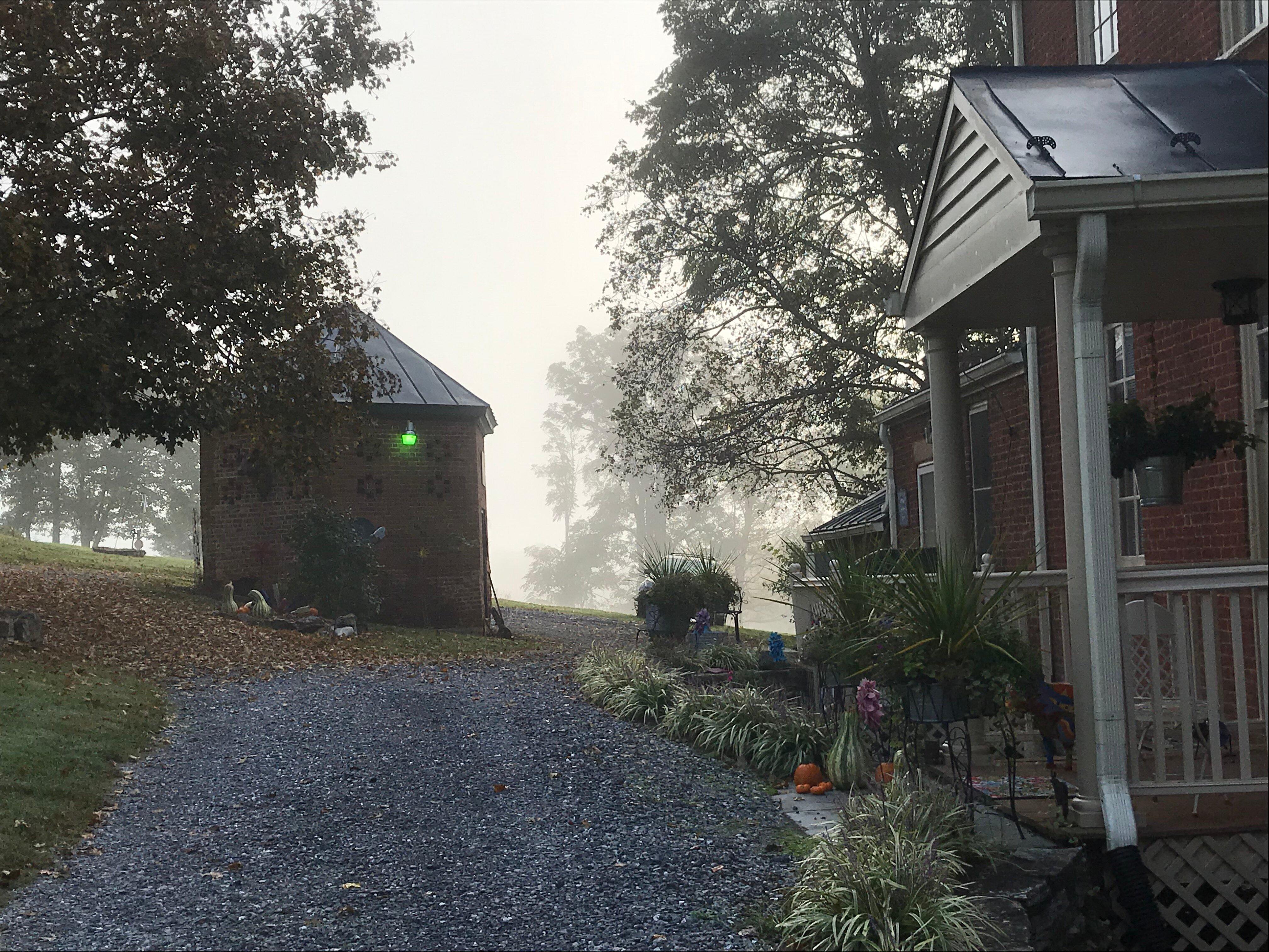 Photo by MiaSouthernPines_NC