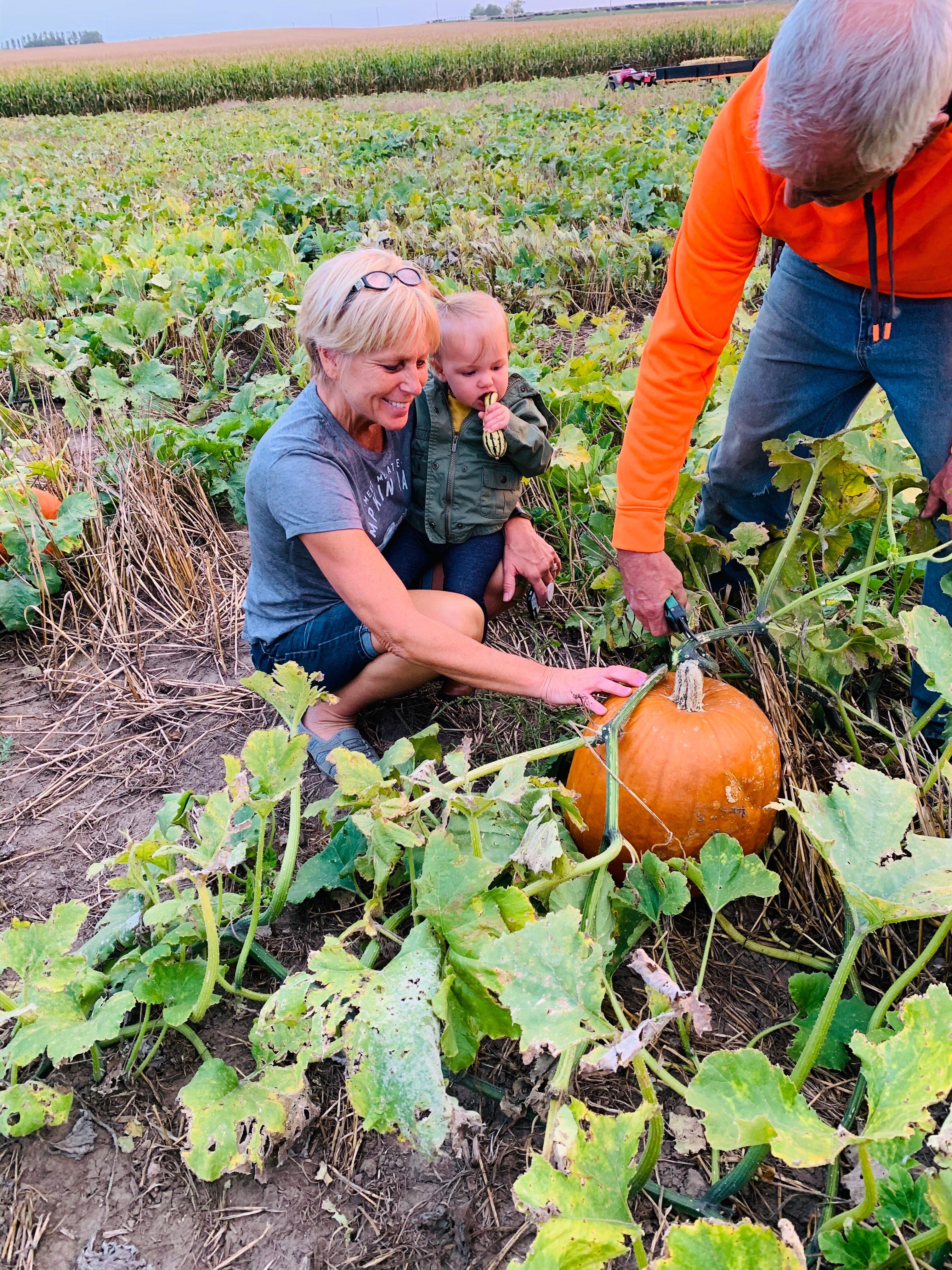 Hoefling’s Pumpkin Patch & Corn Maze