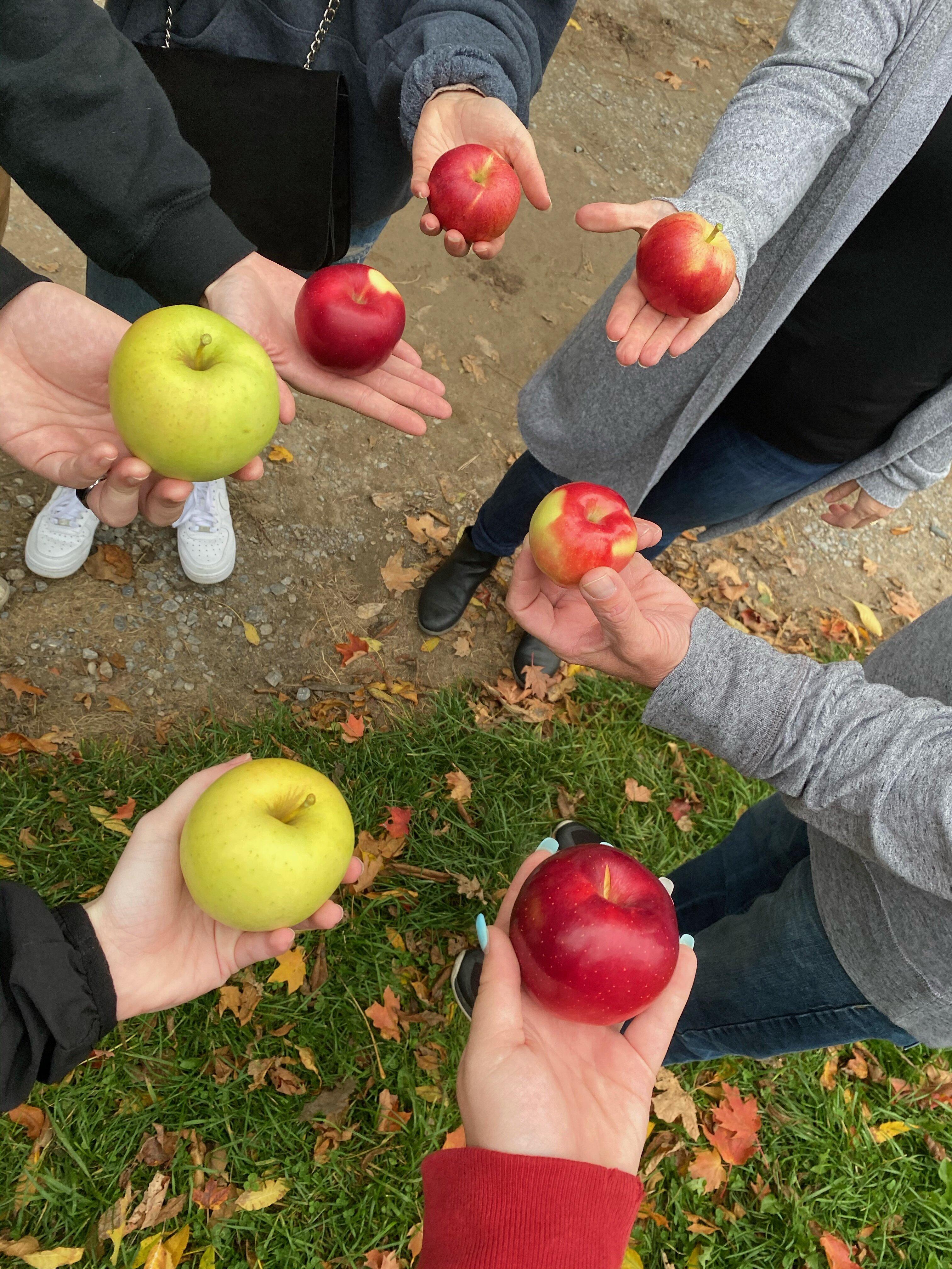 Moore Orchards