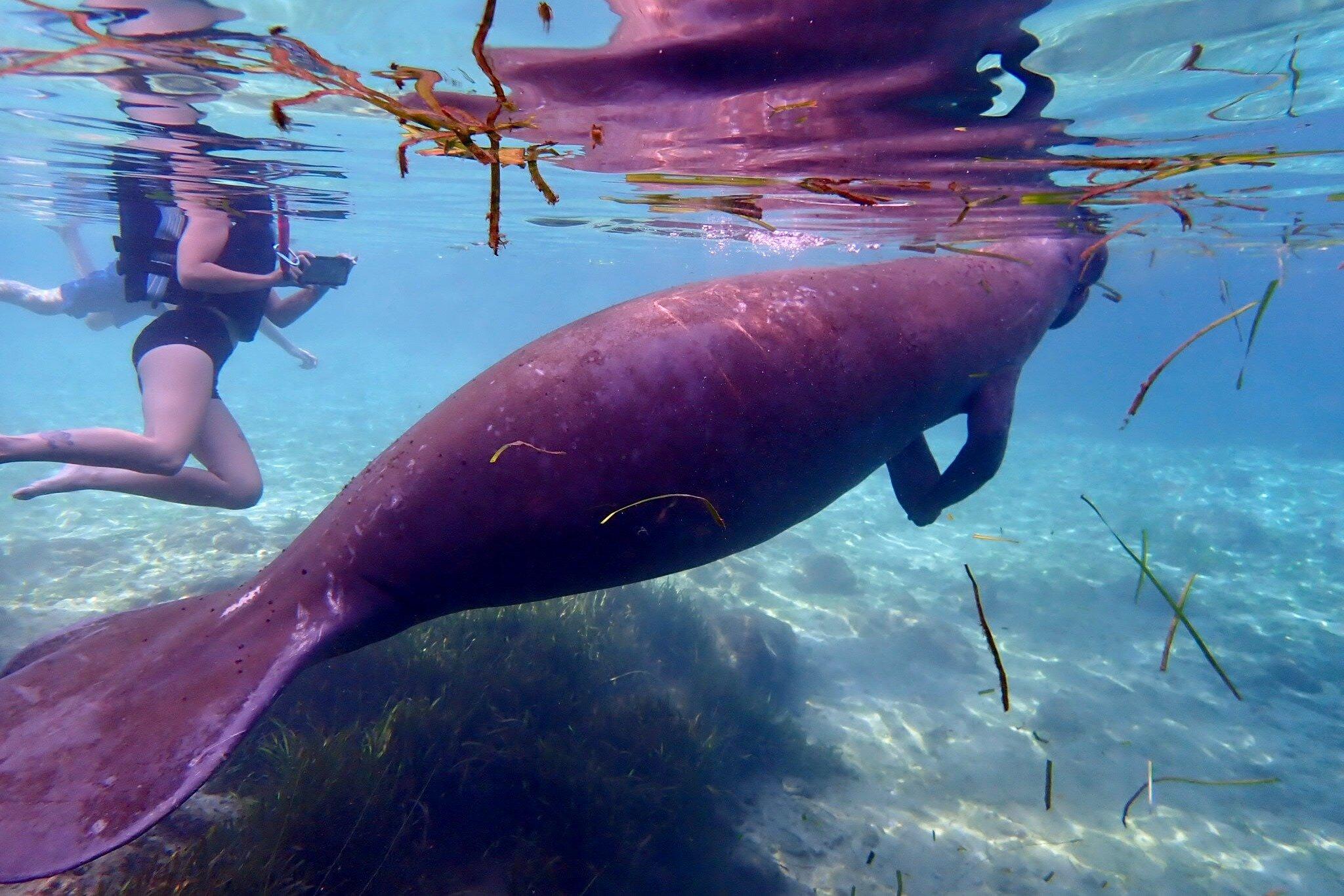 Paddles Outdoor Rentals