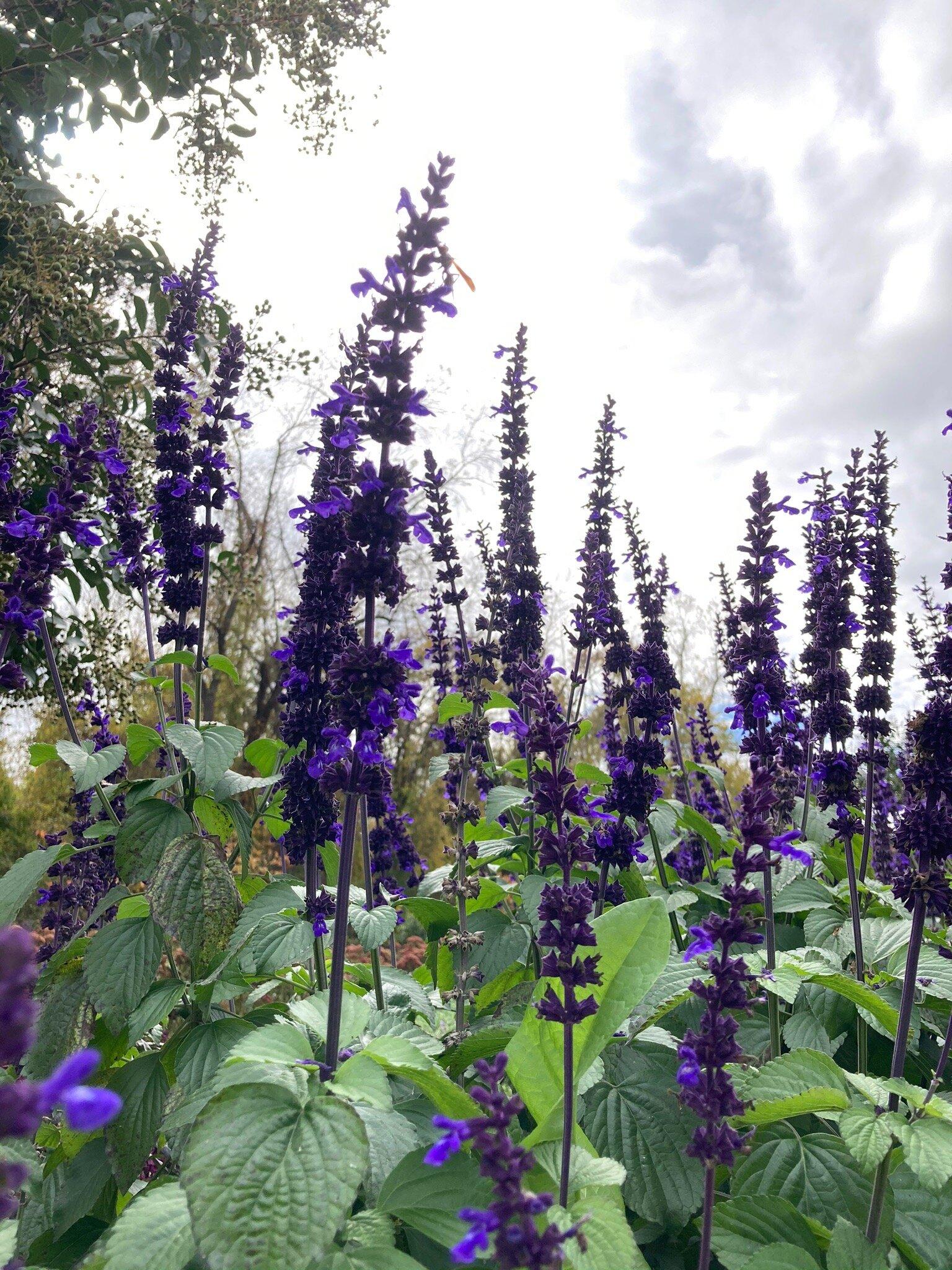 Photo by sydneyamber3000