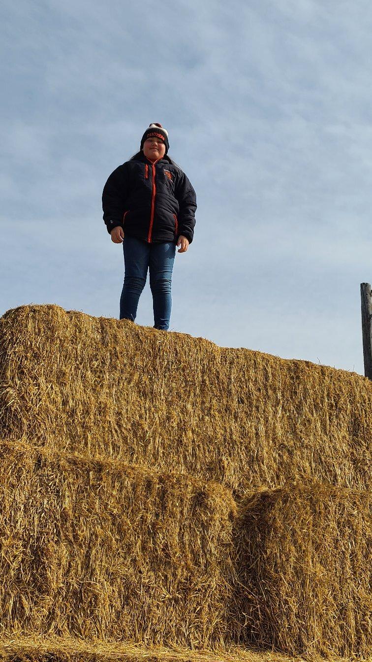 Polly's Pumpkin Patch