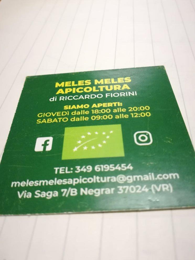 Meles Meles Apicoltura