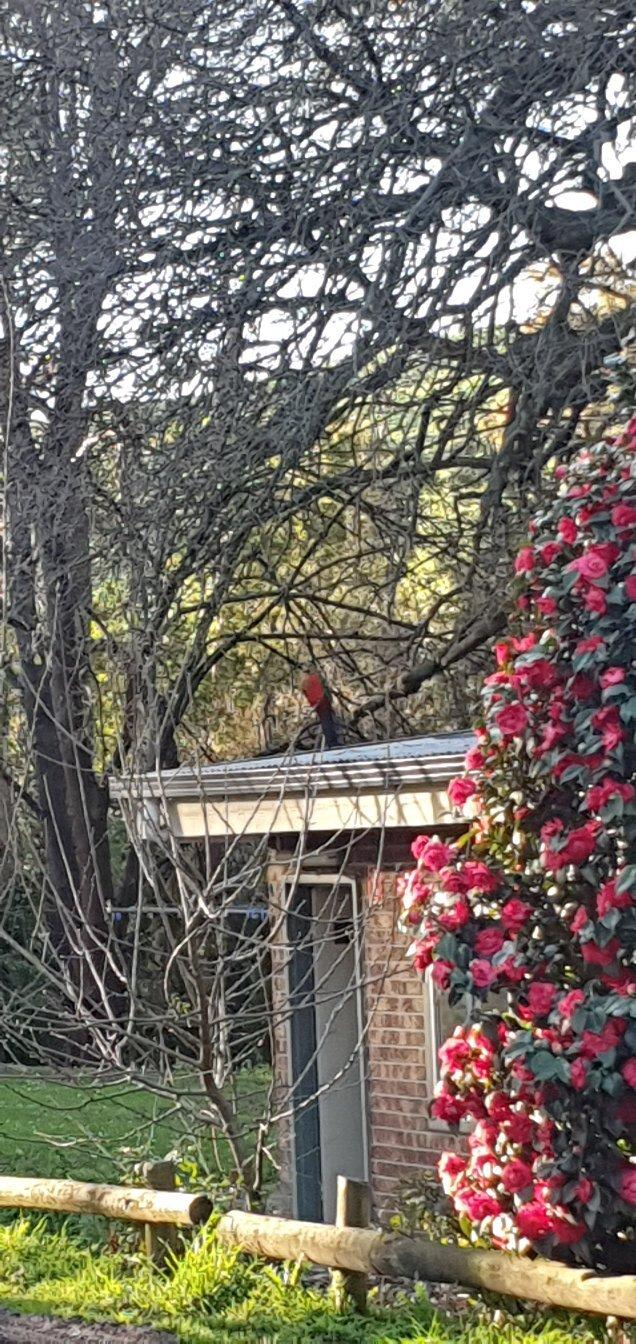 Korumburra Tourist Park