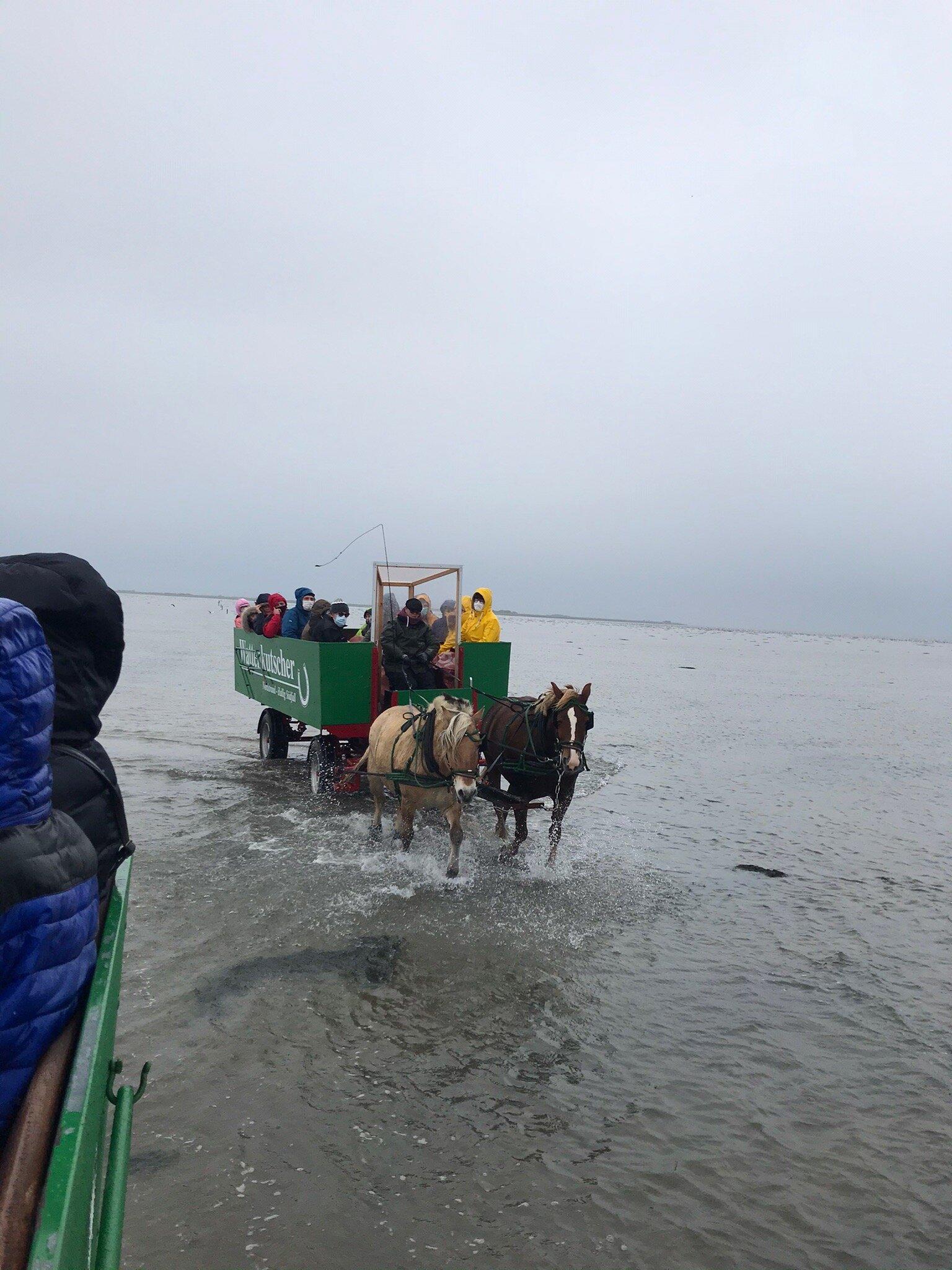 Wattenkutscher