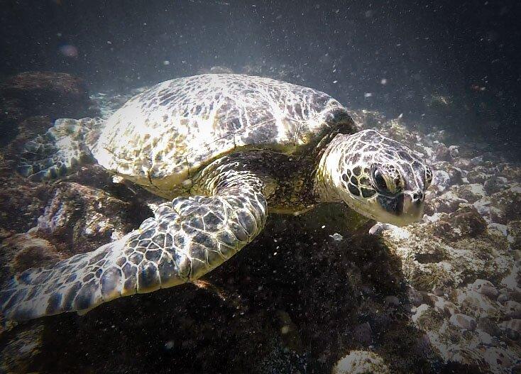 Photo by Y227XTdavidp