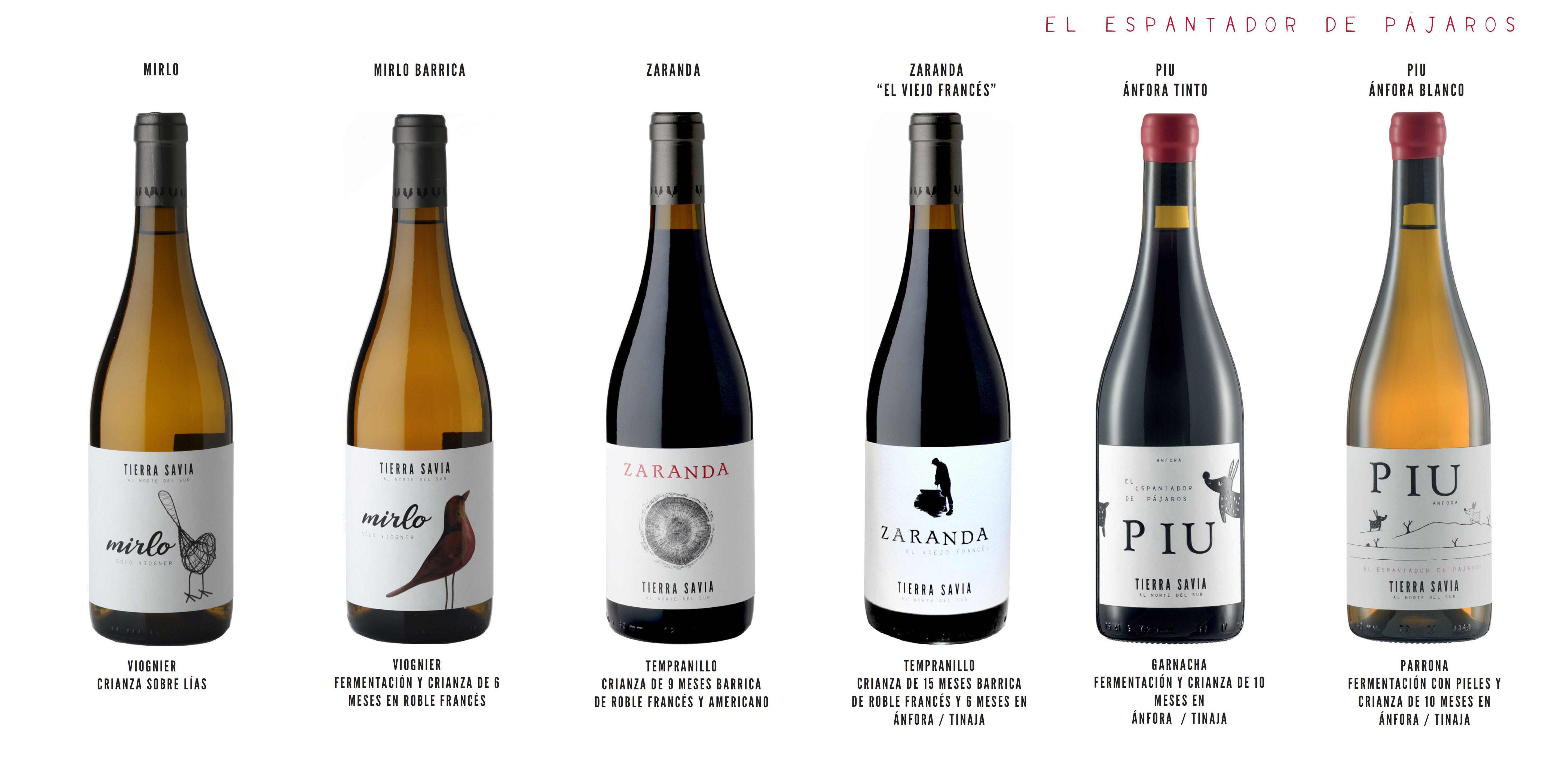 Visita y Cata en Bodegas Tierra Savia