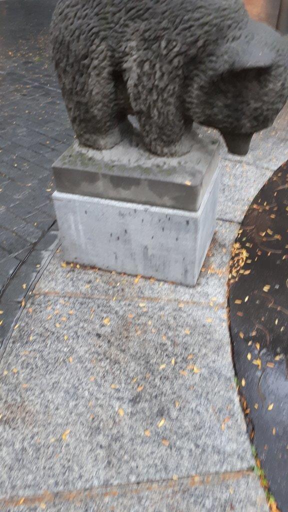 Vadian Fountain Marktgasse