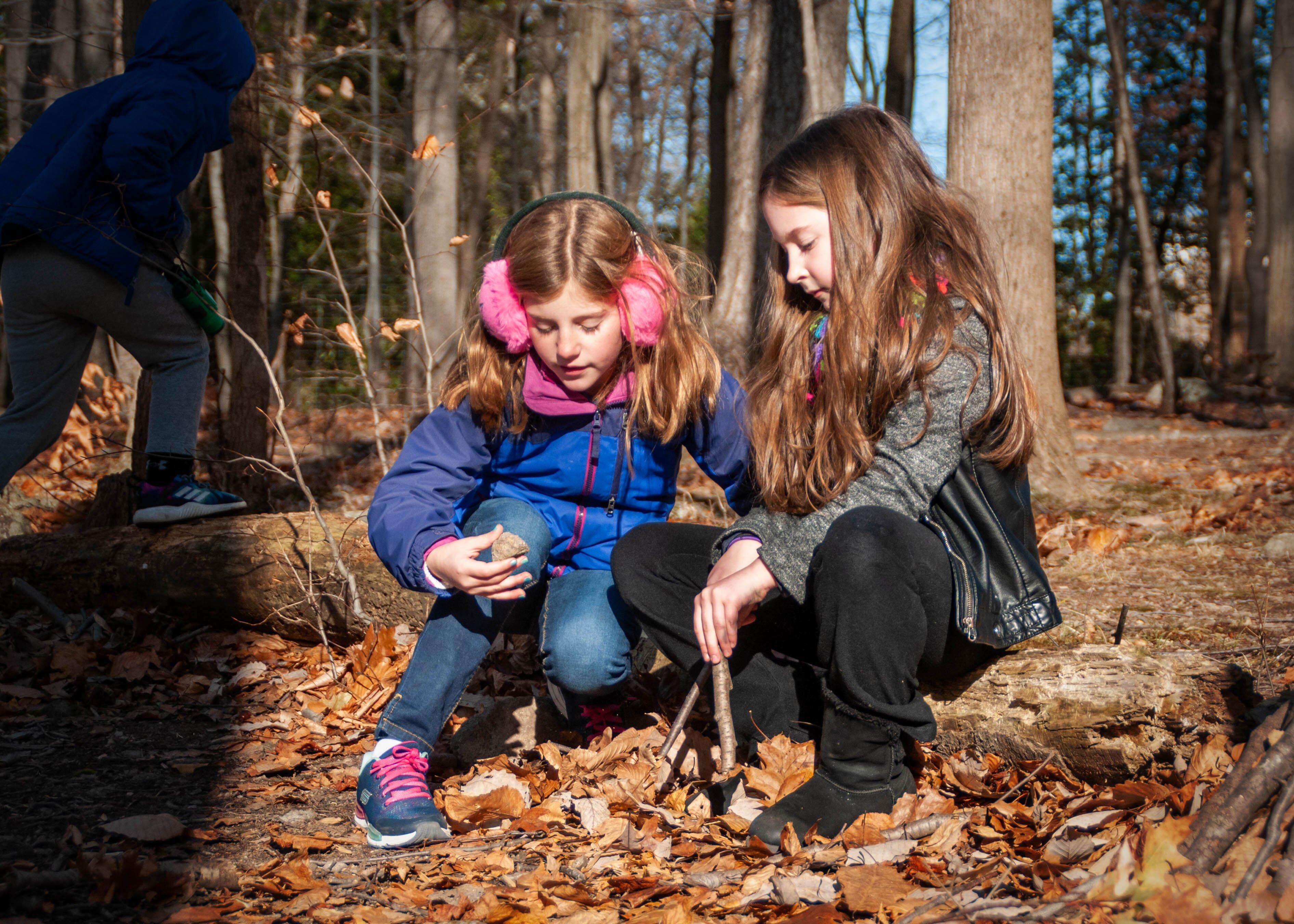 Bucks County Audubon Society