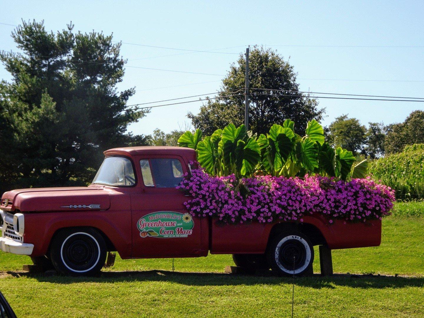 Mcdonald's Greenhouse, Zanesville, Ohio