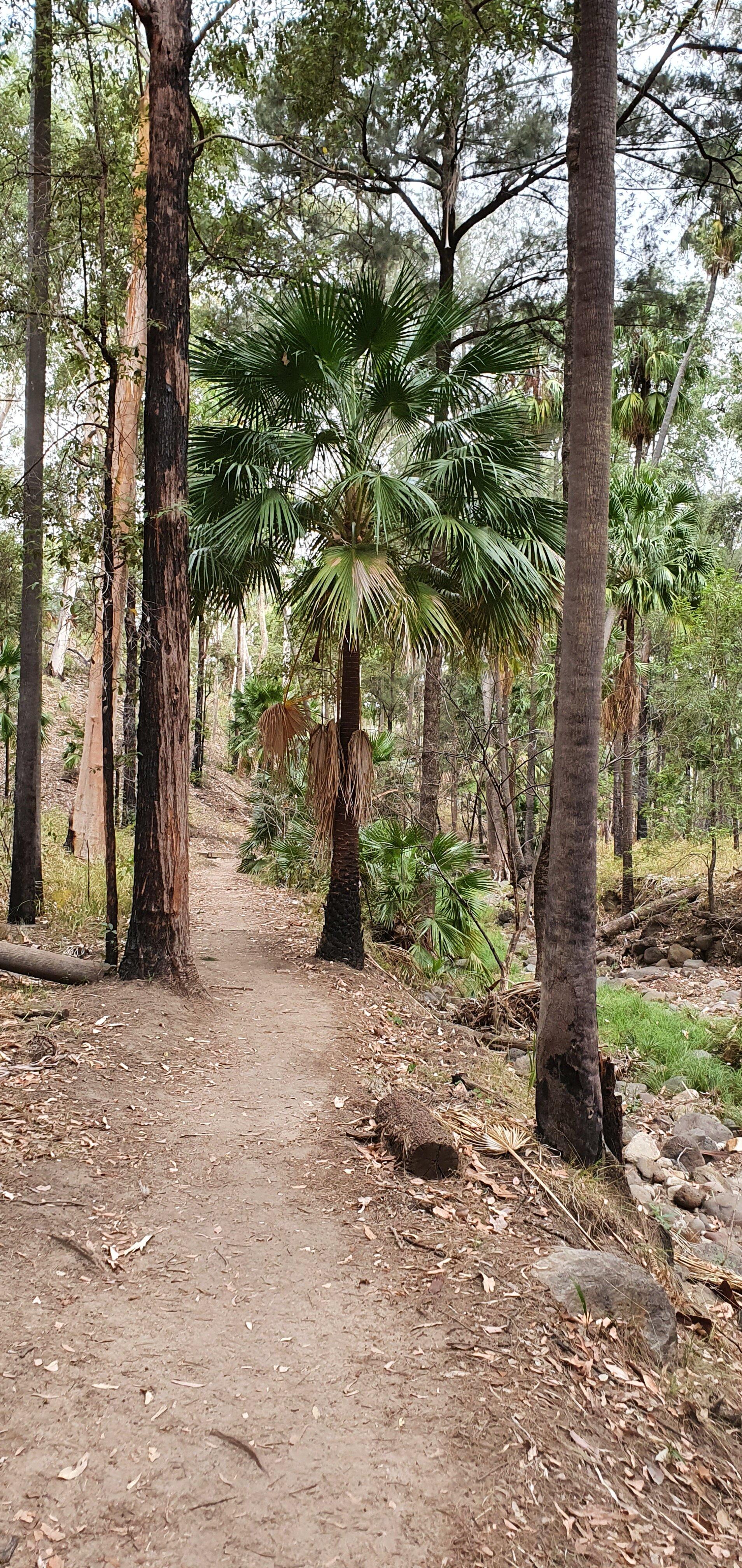 Mickey Creek Gorge walk