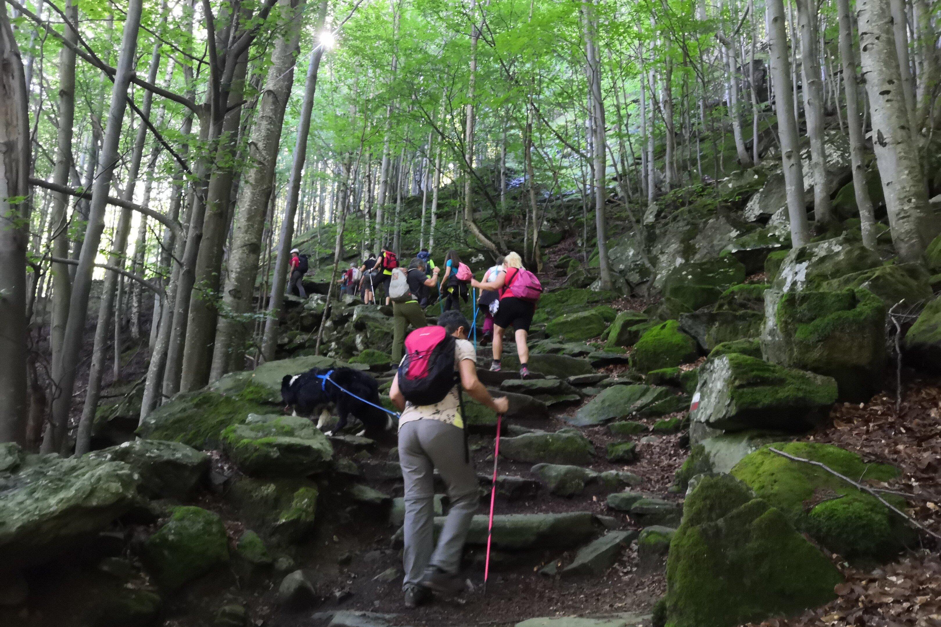 Usoei Vertical Experiences