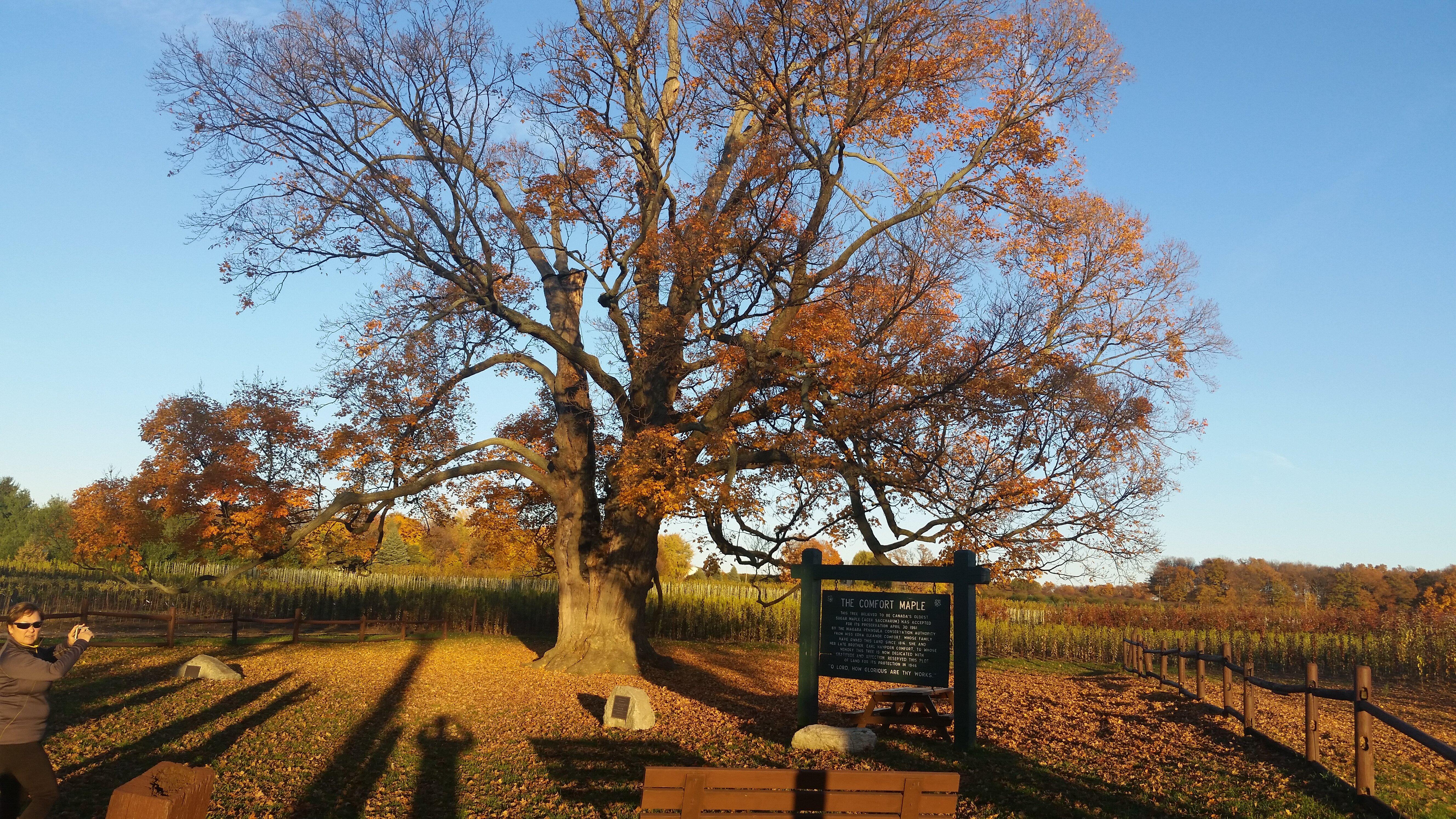 Photo by M6341QFtomh