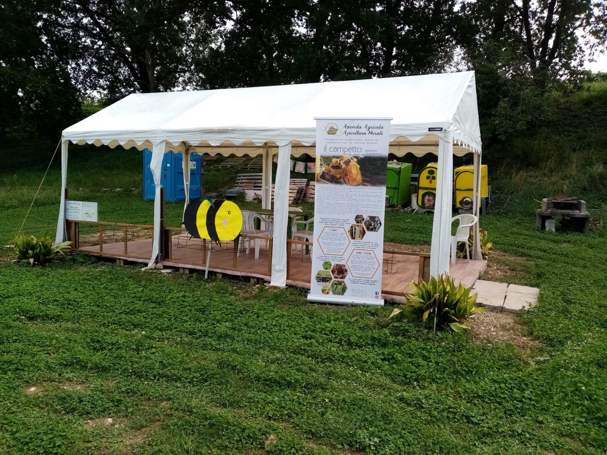 Apicoltura Morati