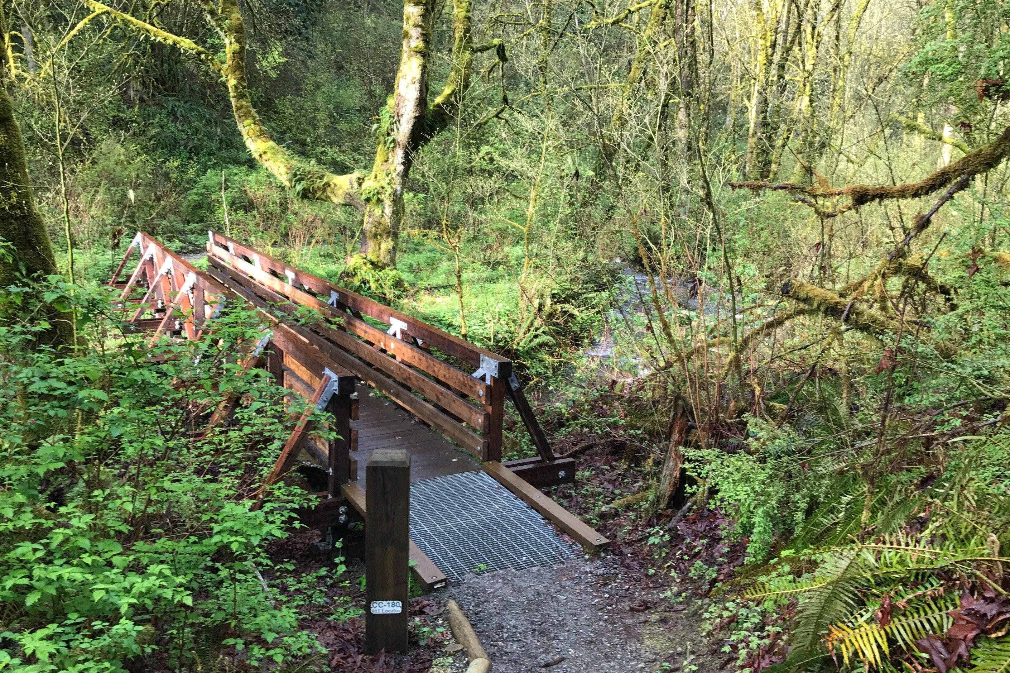 Treasure Hunt Thru Time Northwest Hike