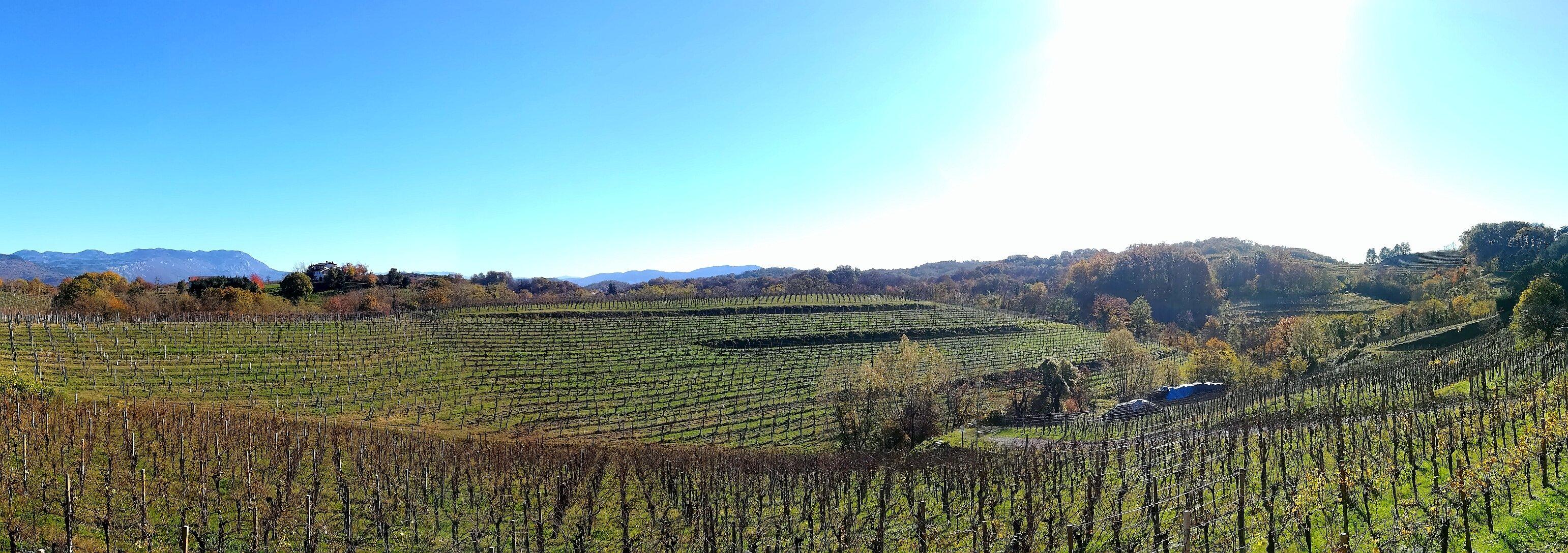 Azienda Agricola Ascevi Luwa