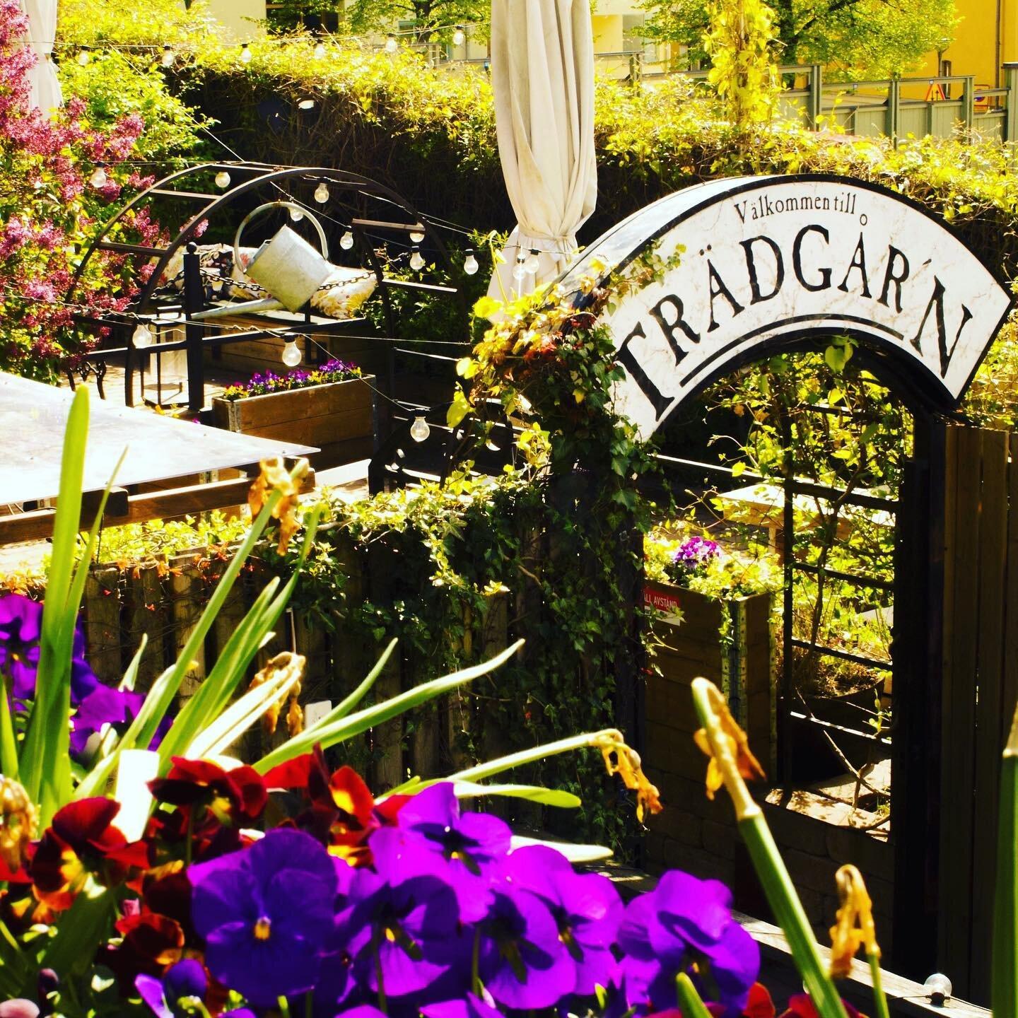 Trädgår'n Norrköping