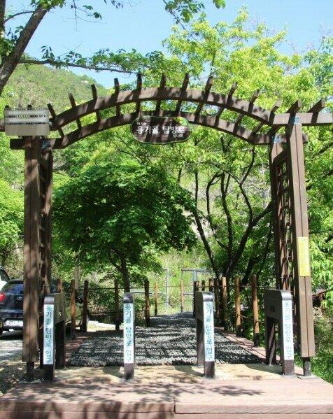 Gayasan National Park (Yonggigol Course)