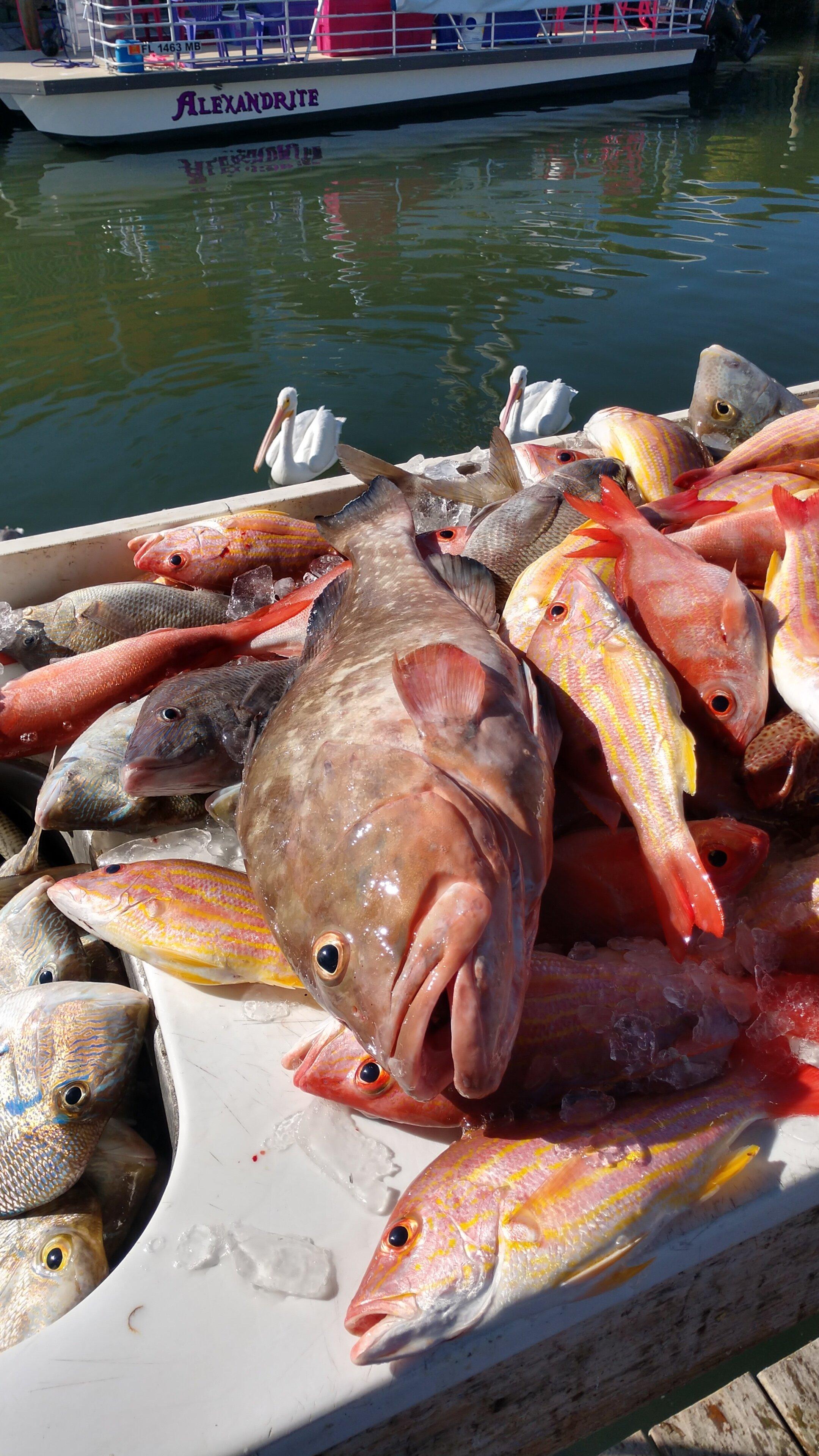 Double Trouble Charters