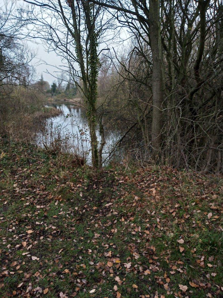 Forbes Hole Local Nature Reserve