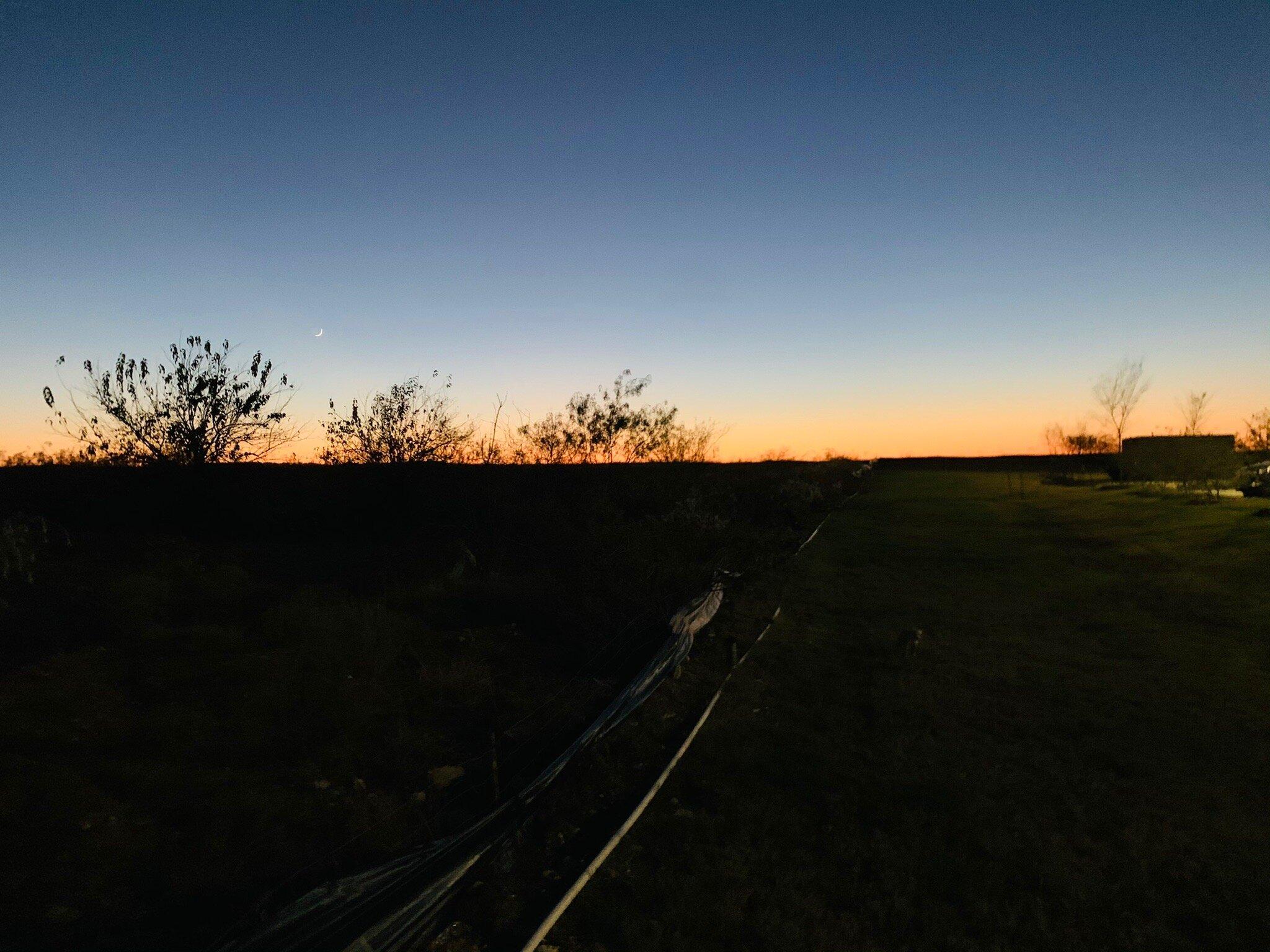 WoodSpring Suites North FT Worth Alliance TX Speedway