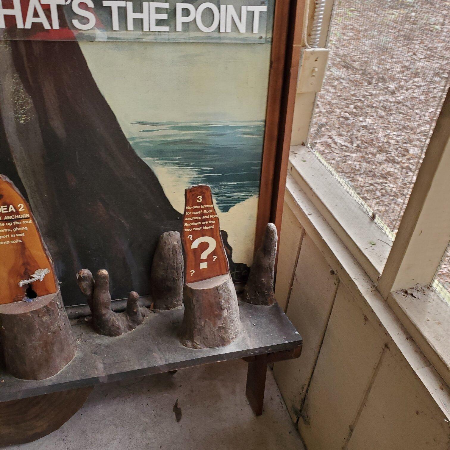 Photo by Sri aka drjustk... R